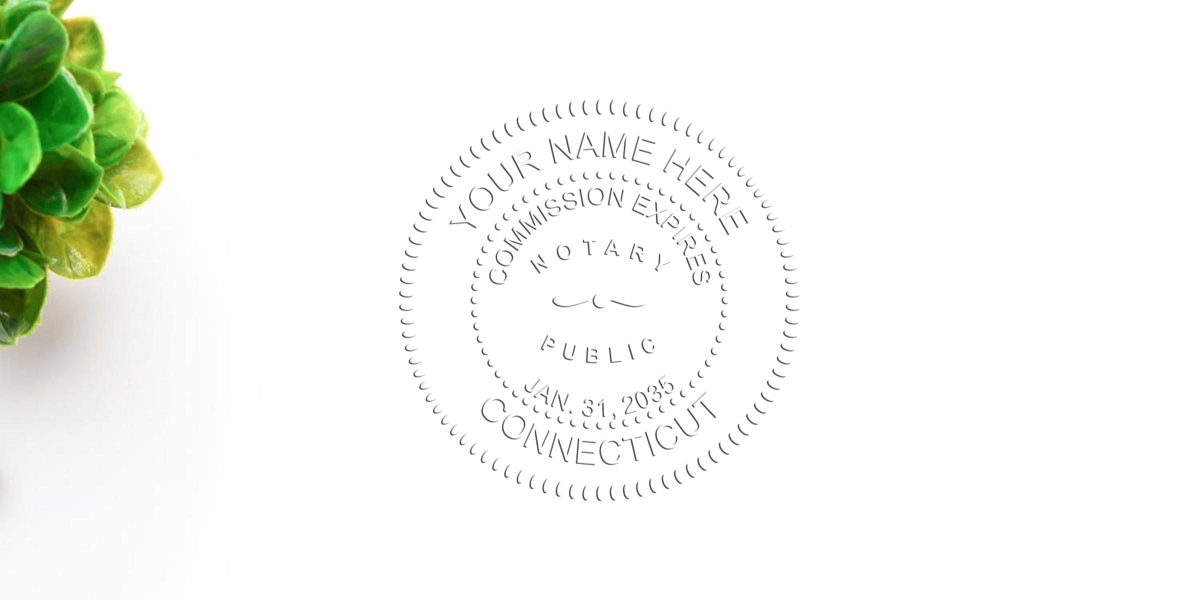 Embossed Connecticut notary seal on white paper with green succulent at left, close-up office stationery and legal document detail