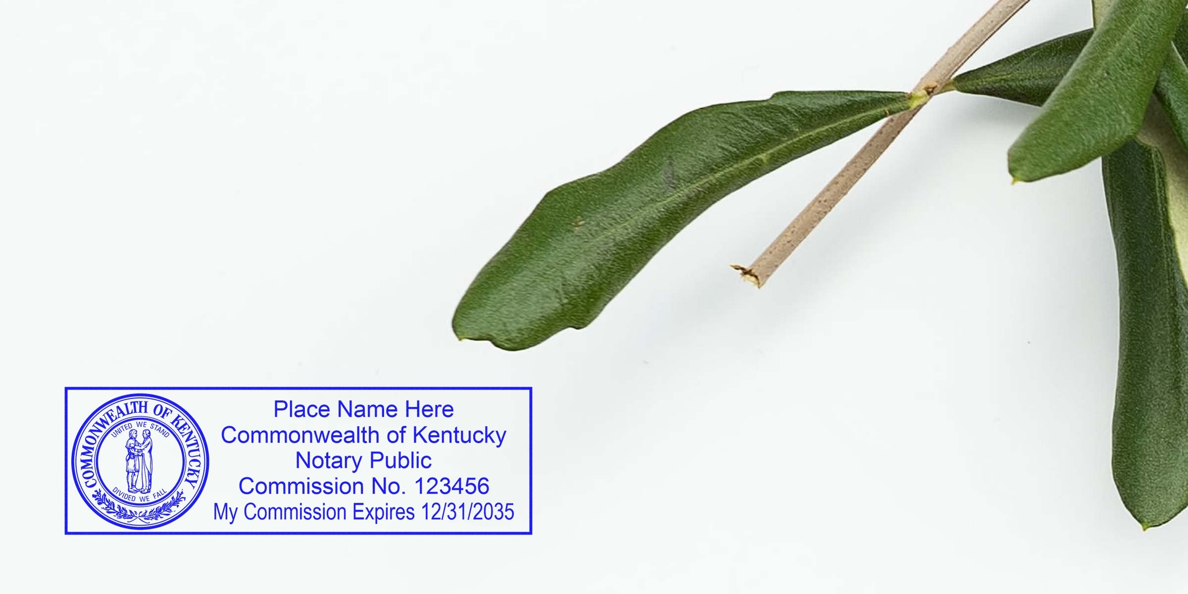 Blue Commonwealth of Kentucky notary public stamp with seal, commission number and expiration date on white background, minimalist green plant branch accent — professional notary seal image for legal services and document authentication