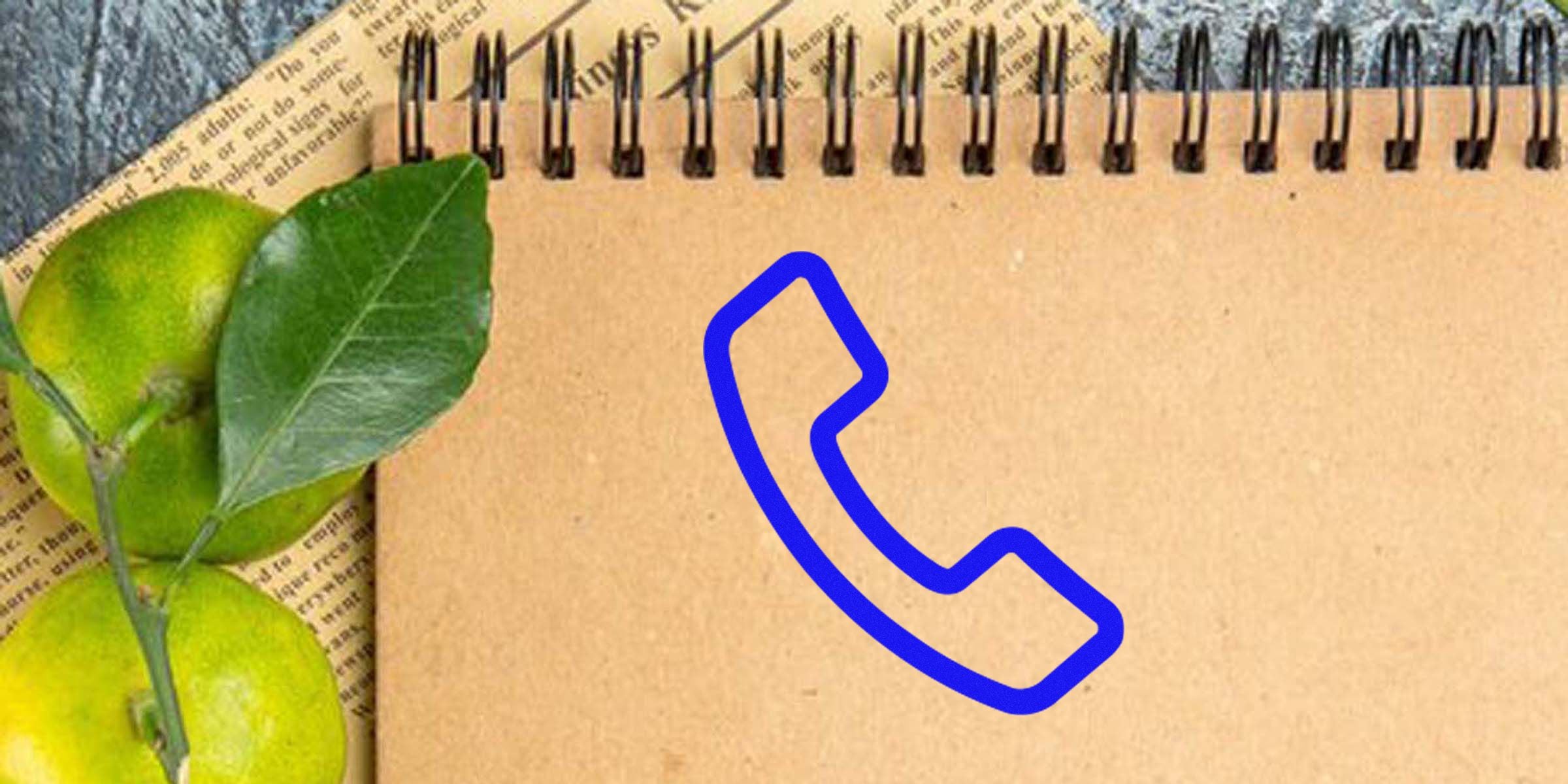 Notebook with a blue outlined phone icon and fresh lemons on the left.