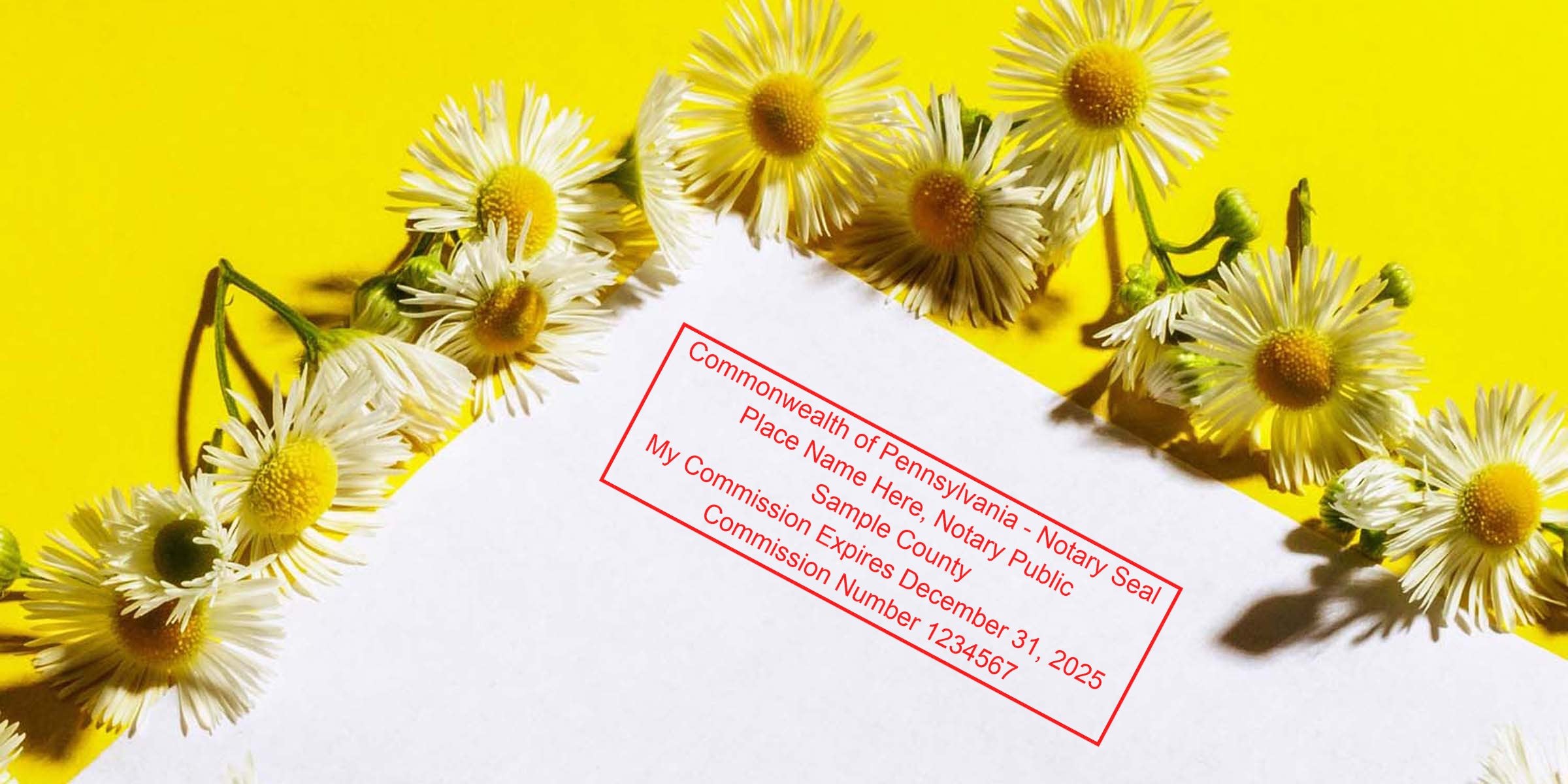 White daisy flowers on a bright yellow background beside a white sheet stamped with a red Pennsylvania notary seal and sample text