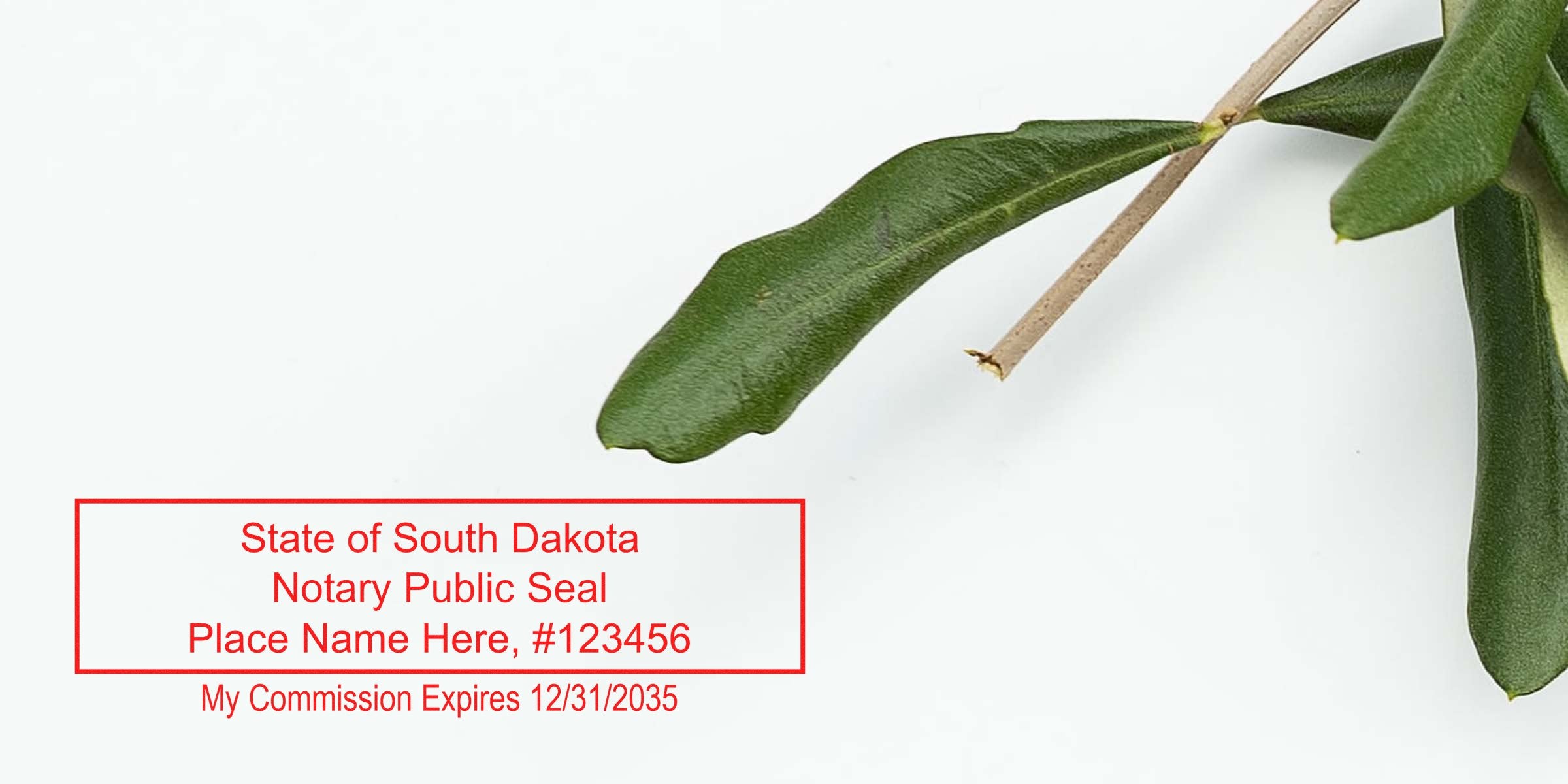 Green eucalyptus leaves on white background with red rectangular "State of South Dakota Notary Public Seal" placeholder text, name/commission number and expiration date.