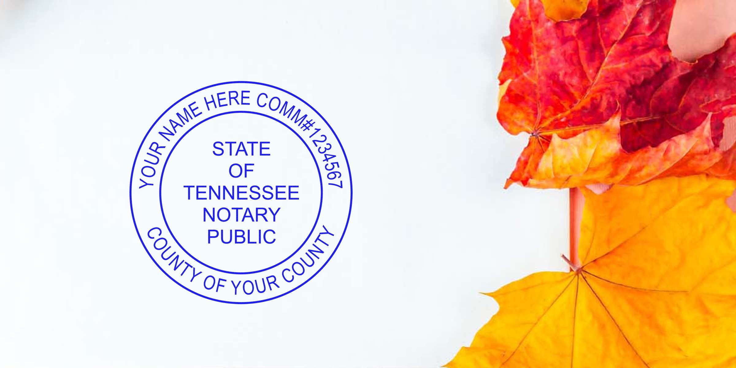 Blue circular "State of Tennessee Notary Public" seal stamp on white paper with red and yellow autumn maple leaves on the right, seasonal fall stationery background for notary or legal documents.
