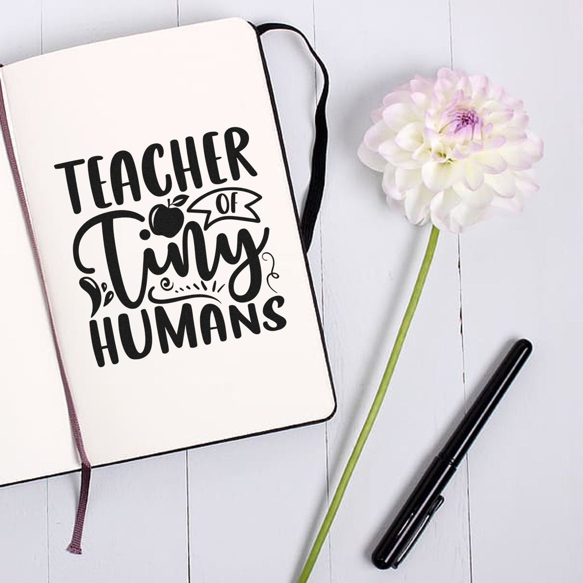 Teacher Of Tiny Humans Apple Ribbon Lettering Stamp - Premium Vintage Pro Wooden imprint stamped in black ink. "Teacher of Tiny Humans" features an apple, a small banner, and ornamental curls.