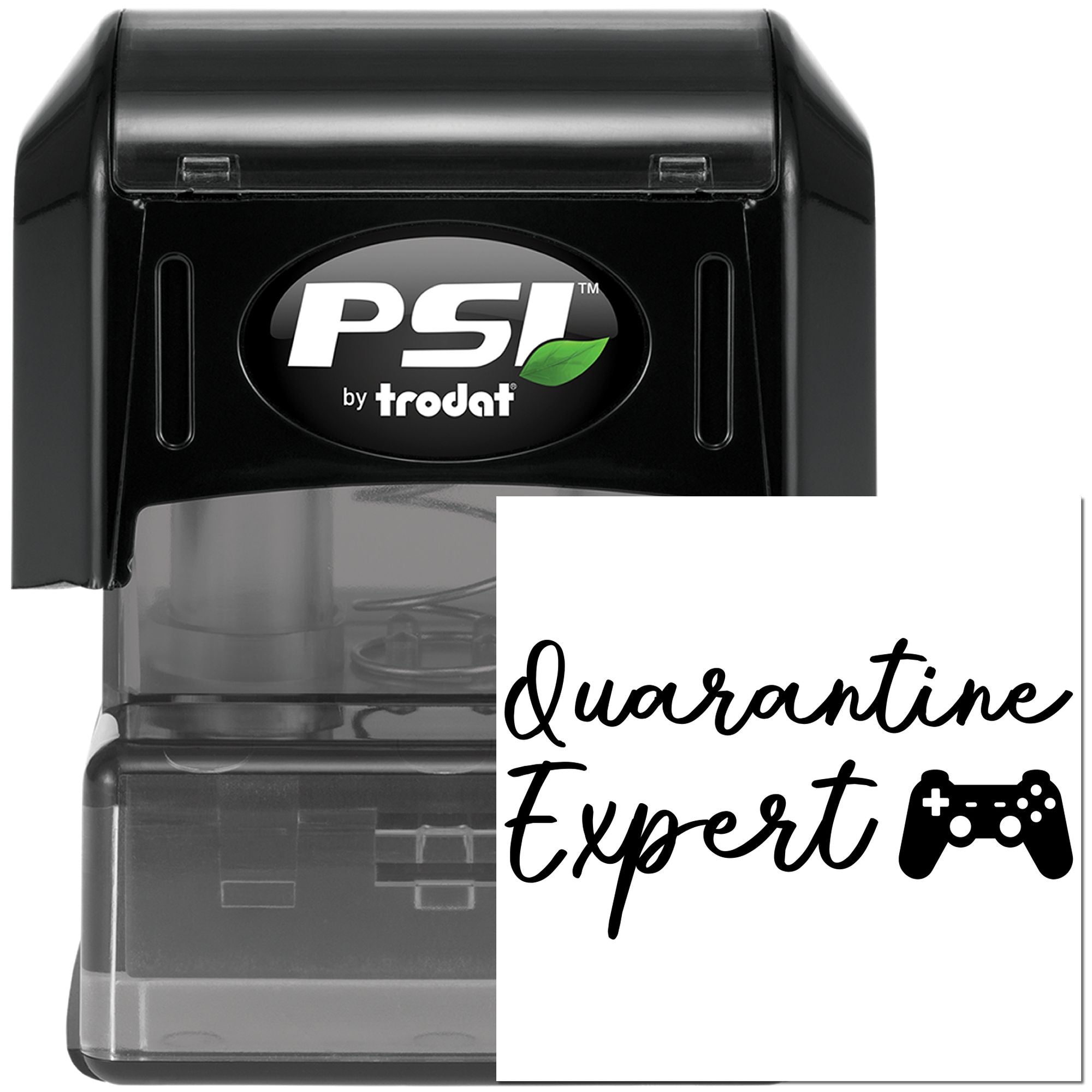 Pre-Inked Quarantine Gaming Expert Journaling Stamp