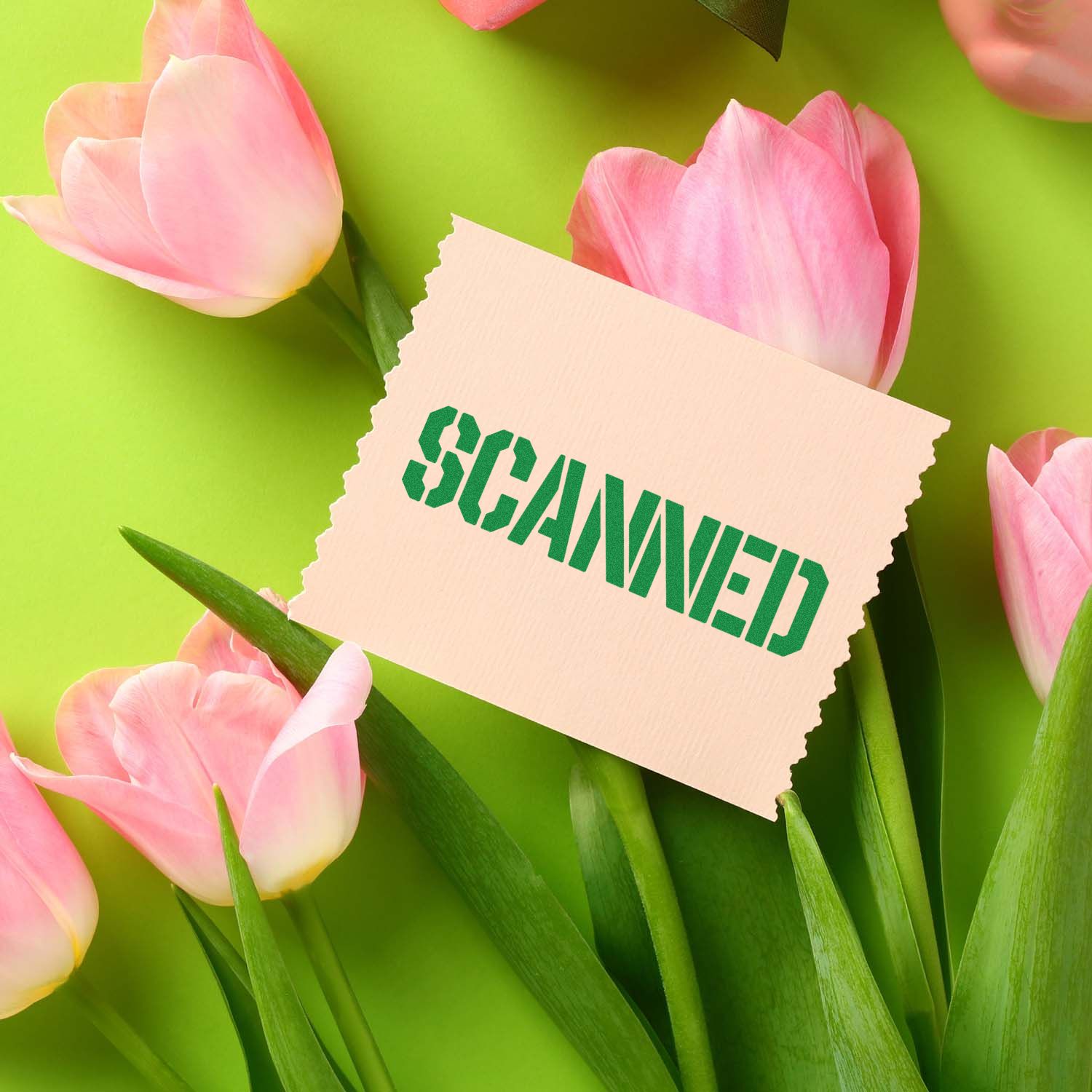Cream stamp and seal card with green SCANNED imprint among pink tulips on a bright lime background.