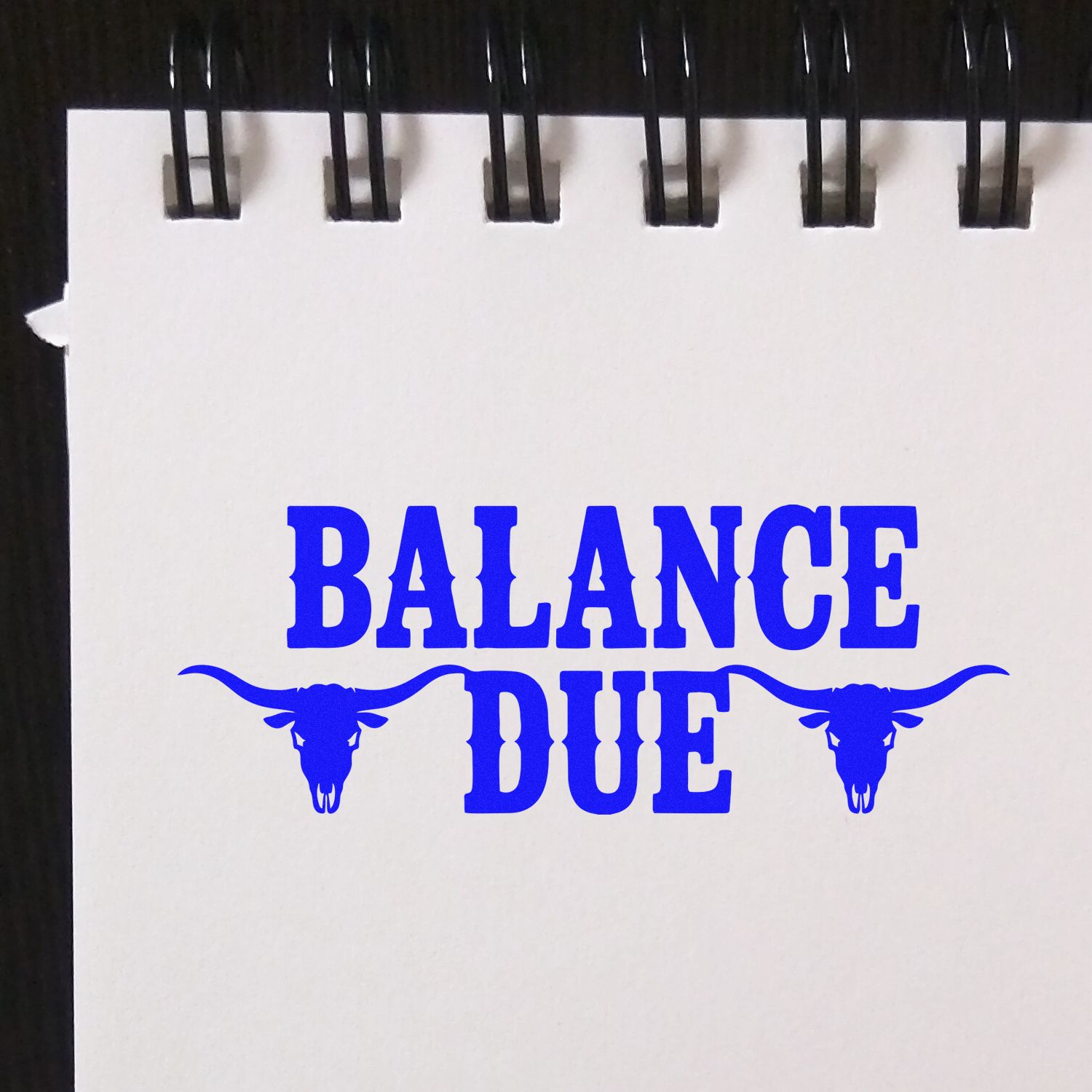 Blue BALANCE DUE stamp seal design with bull skulls on a white spiral pad, black binding.