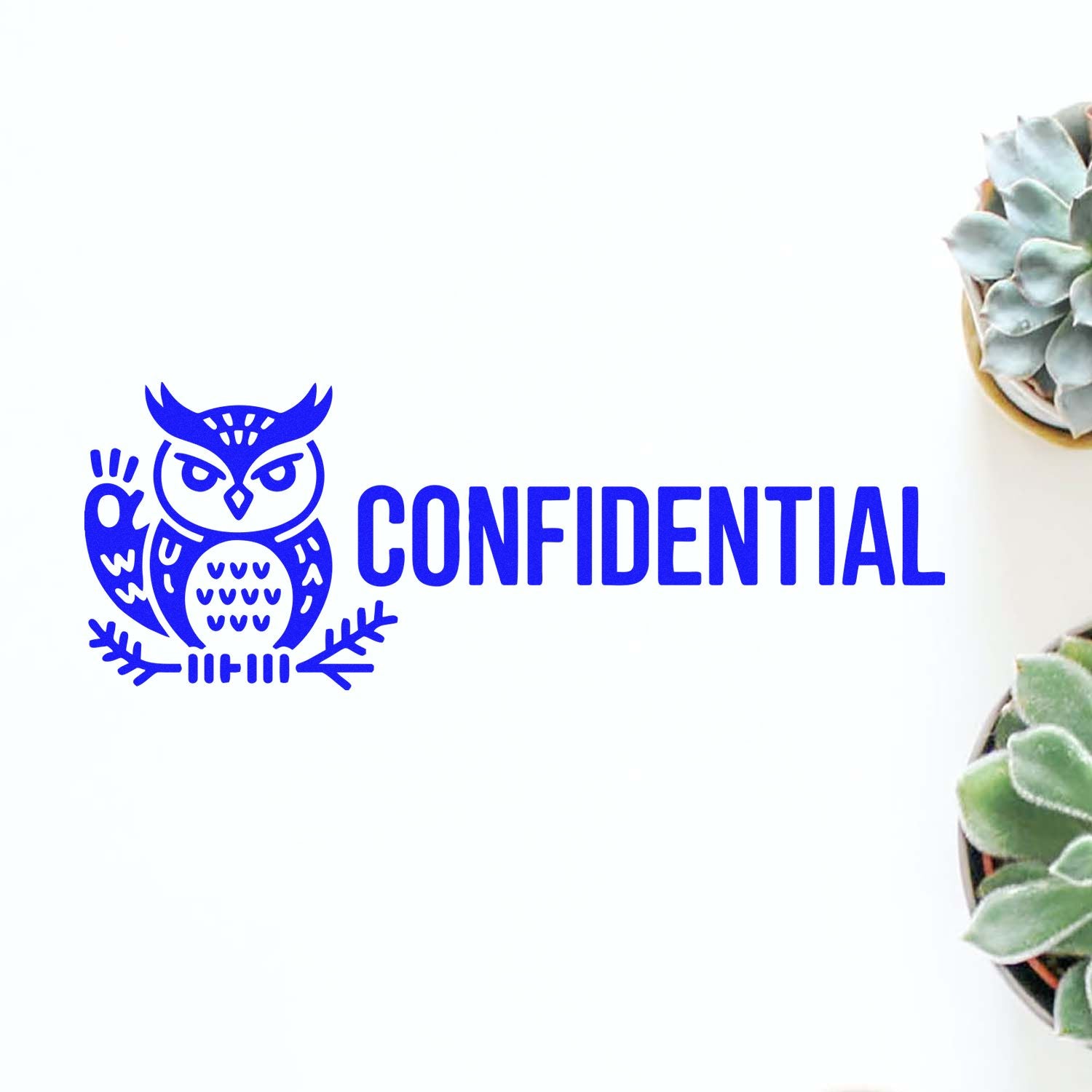 Bold blue owl confidential stamp seal on white background, with succulent plants at the right edge.