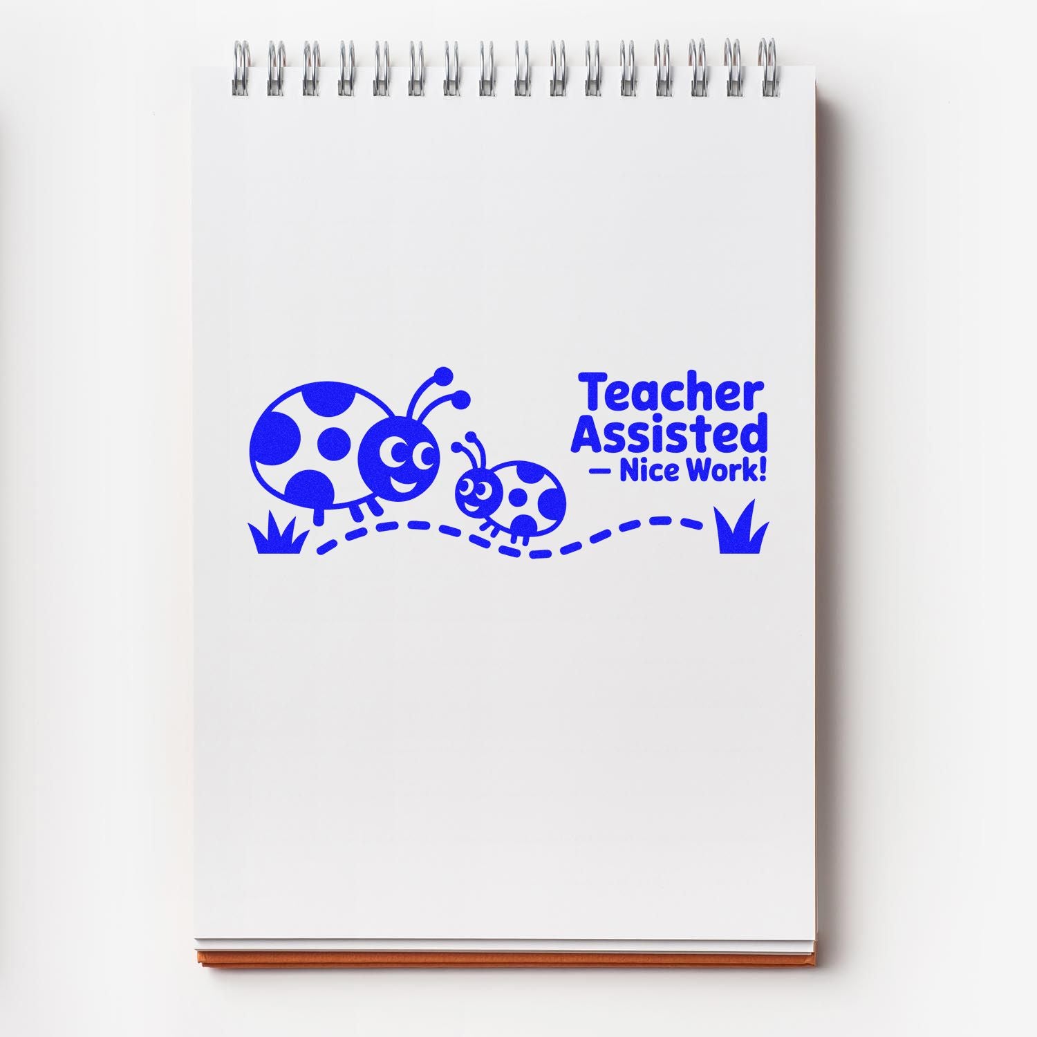 Blue teacher-assisted stamp and seal on a white spiral notebook, with cartoon ladybugs, grass, and Nice Work!