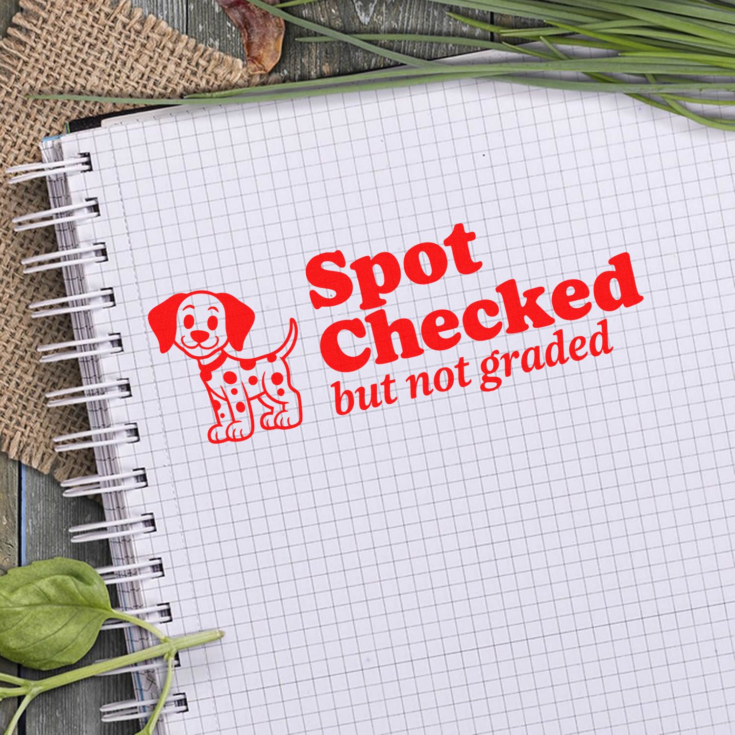 Red dog stamp seal reading Spot Checked but not graded on grid notebook paper.