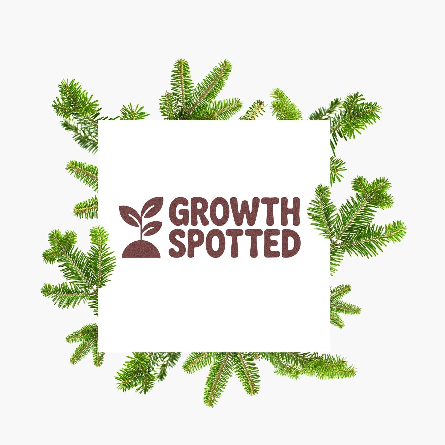 Brown Growth Spotted stamp and seal with sprout icon, framed by green pine branches on white.