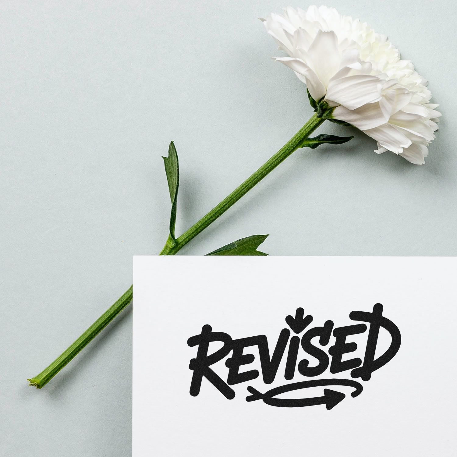 Black Revised stamp seal on white paper beside a white flower with green stem on a pale gray background.