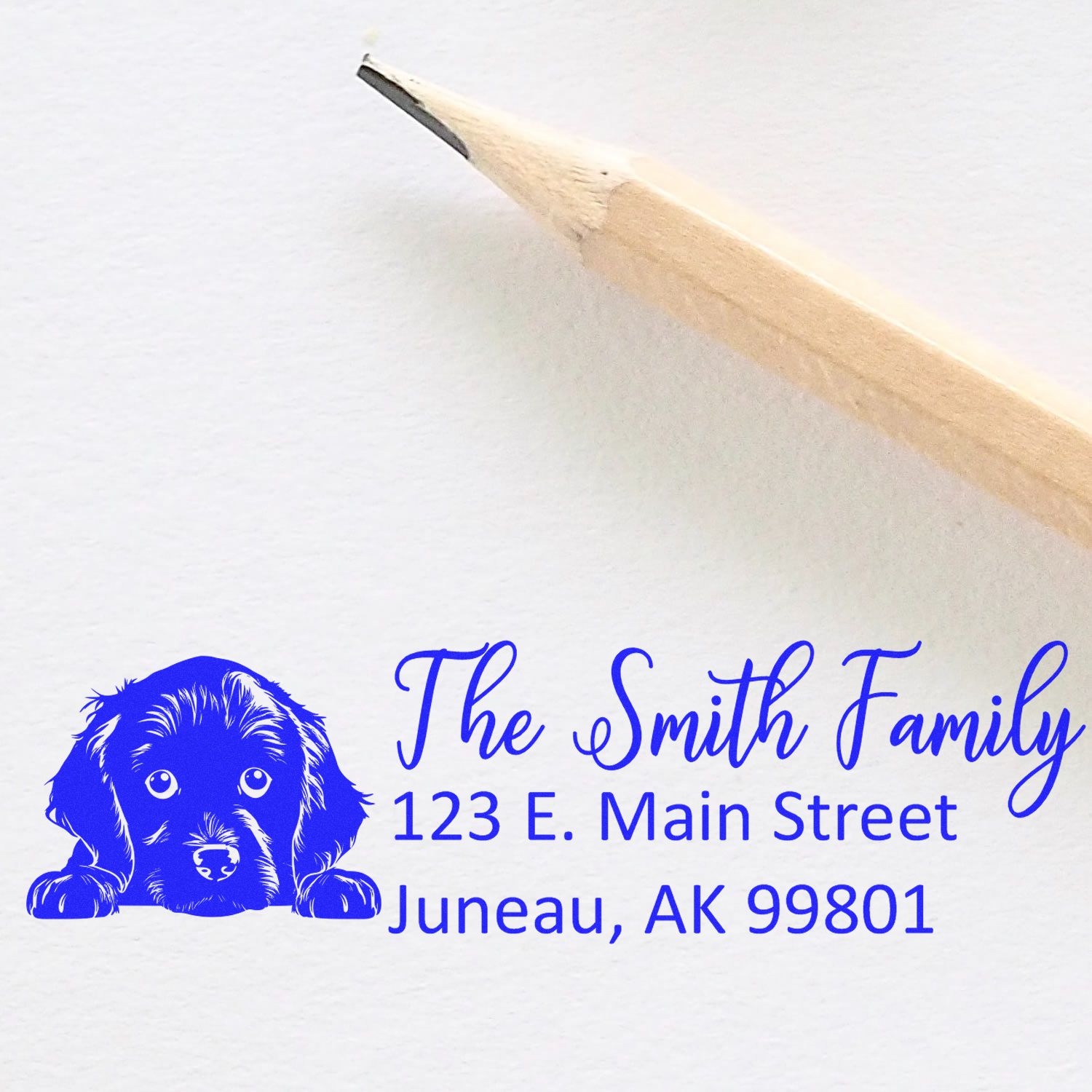 Slim Boykin Spaniel Dog Mail Address Stamp - Engineer Seal Stamps