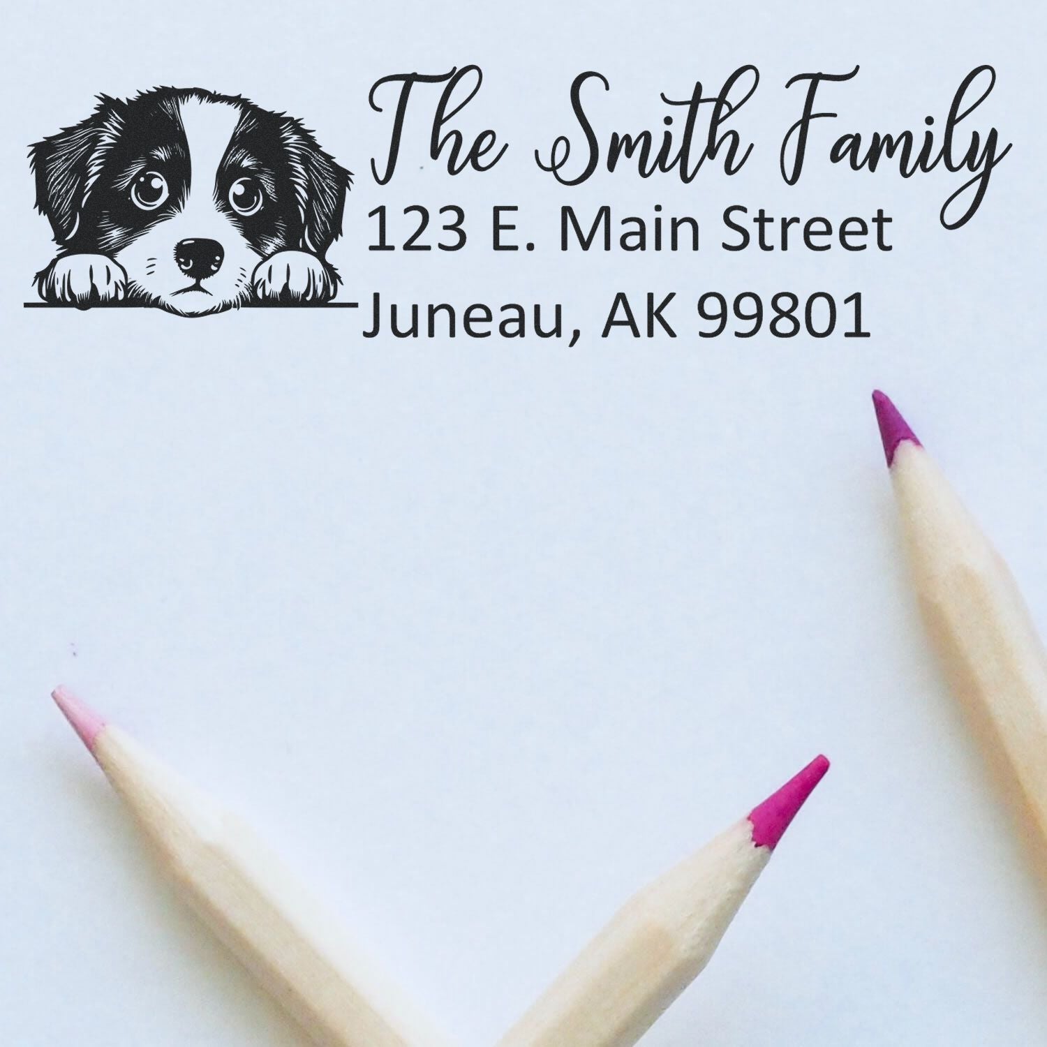 Slim Miniature American Shepherd Dog Mail Address Stamp - Engineer Seal Stamps