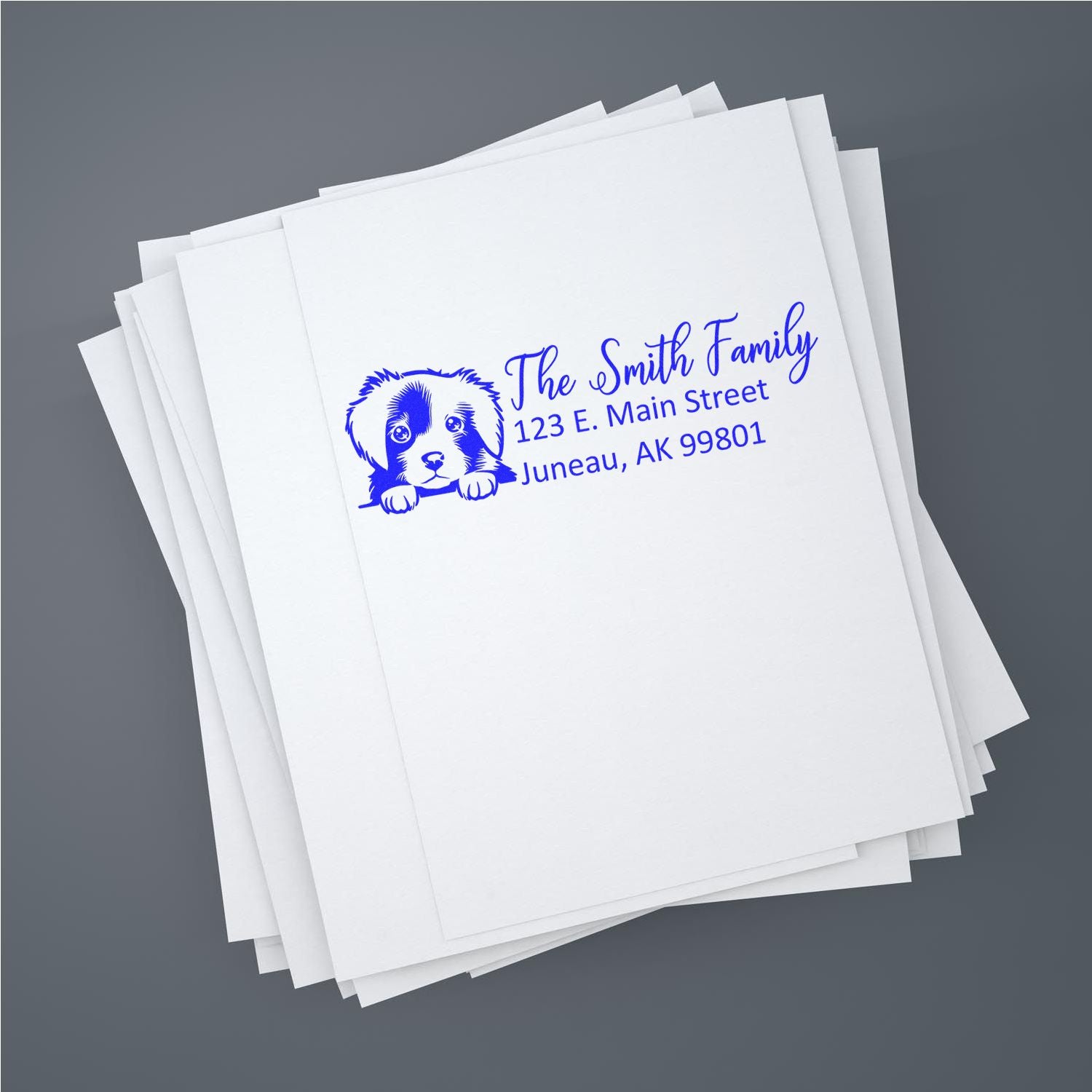 Slim Nova Scotia Duck Tolling Retriever Dog Mail Address Stamp - Engineer Seal Stamps