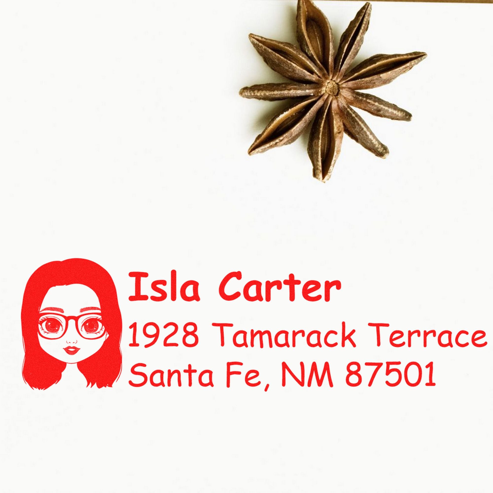 Ms Isla Bitmoji Customized Address Stamp Pre-Inked - Engineer Seal Stamps
