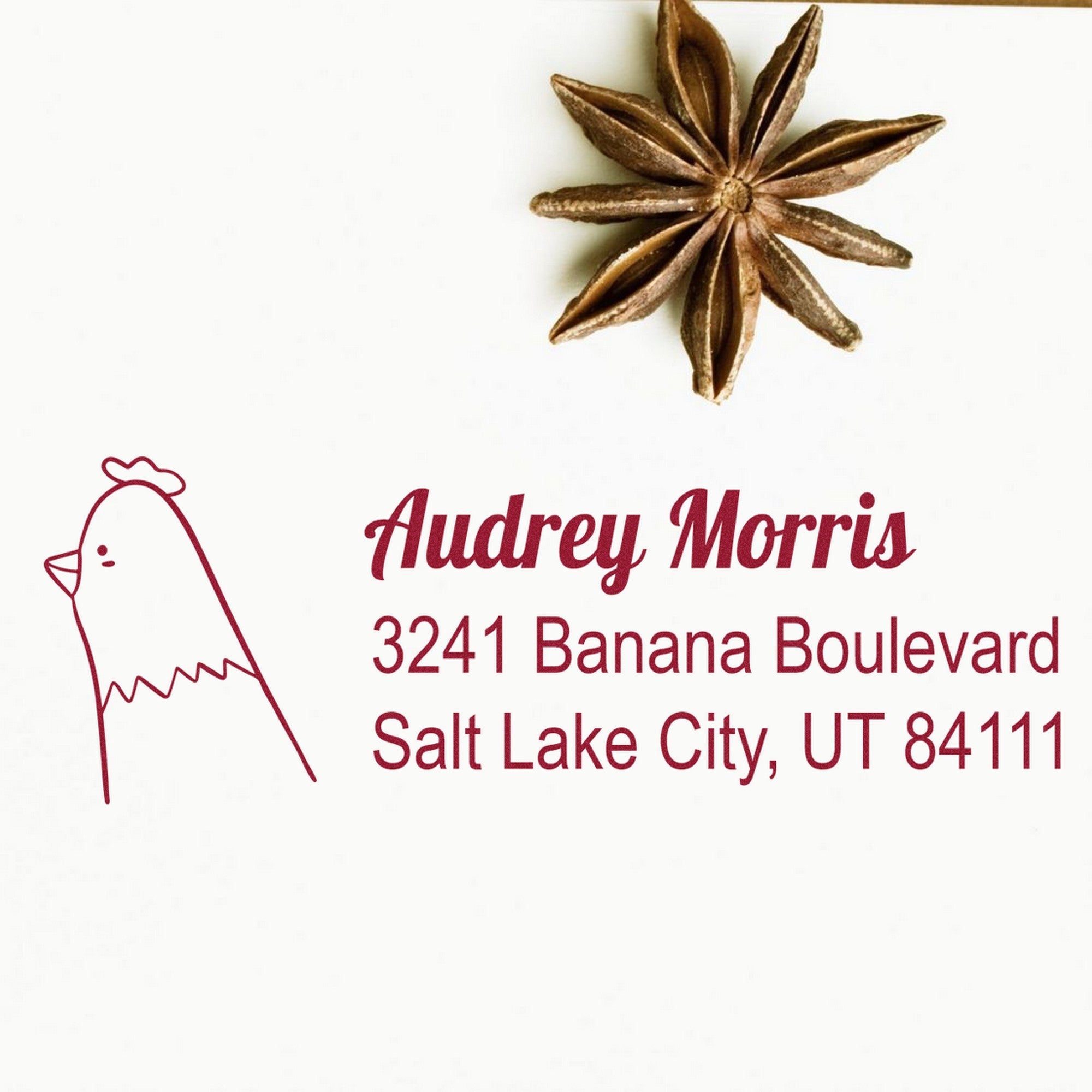 Wood handle clucking chicken handmade mailing address rubber stamp featuring a custom-made return mail stamp design. The stamp shows a chicken illustration and the address: Audrey Morris, 3241 Banana Boulevard, Salt Lake City, UT 84111, with a star anise decoration.