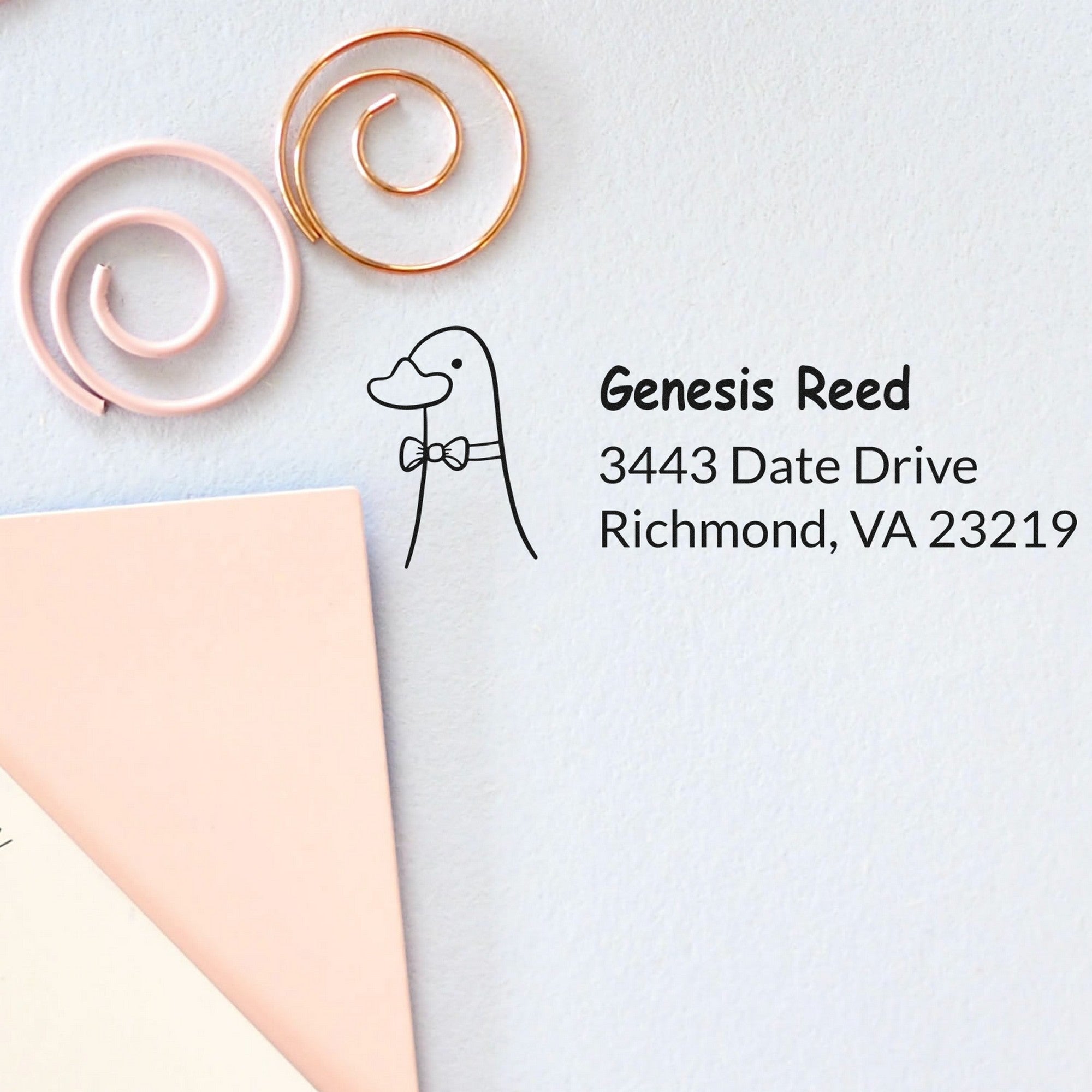 PSI Dashing Duck Personalized Mailing Pre-Inked Stamp displayed on a light background with decorative spirals. The Custom Home Stamper features a duck illustration and sample address: Genesis Reed, 3443 Date Drive, Richmond, VA 23219.