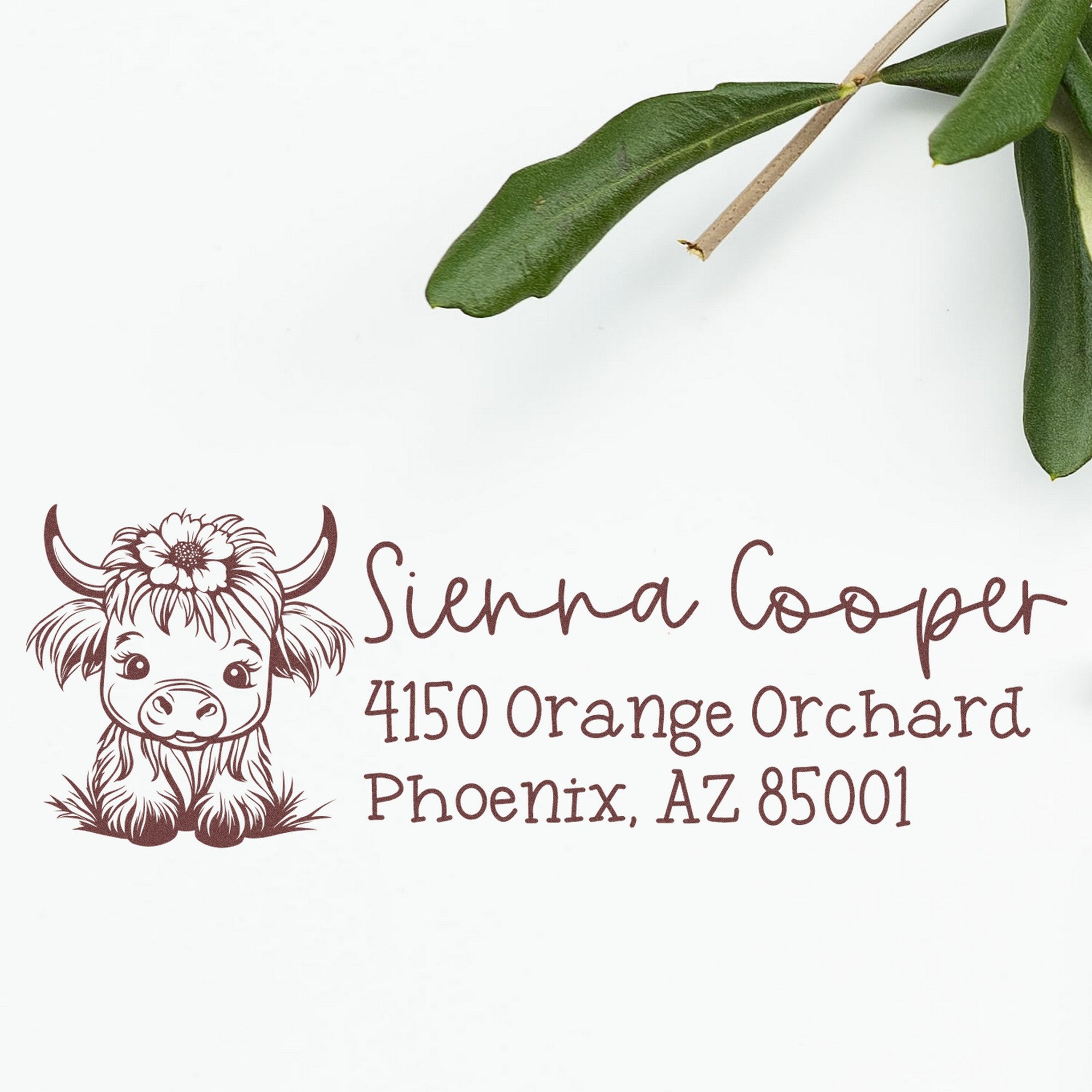 Custom address stamp with maroon cow illustration, brown script text, and green leaves; Sienna Cooper, Phoenix, AZ 85001.
