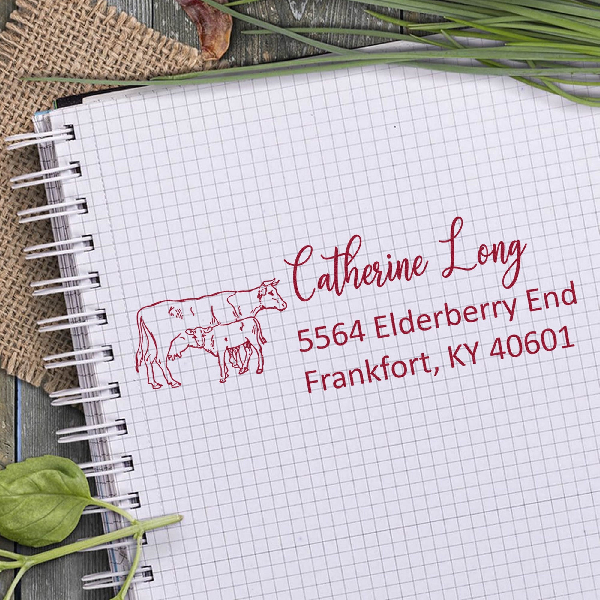 Custom red cattle address stamp and seal in red on graph paper notebook, spiral bound, with green leaves and rustic wood background