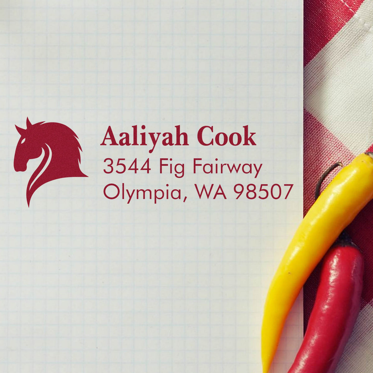 Red custom address stamp and seal with horse logo, Aaliyah Cook, Olympia WA 98507, on white paper with red and yellow accents.