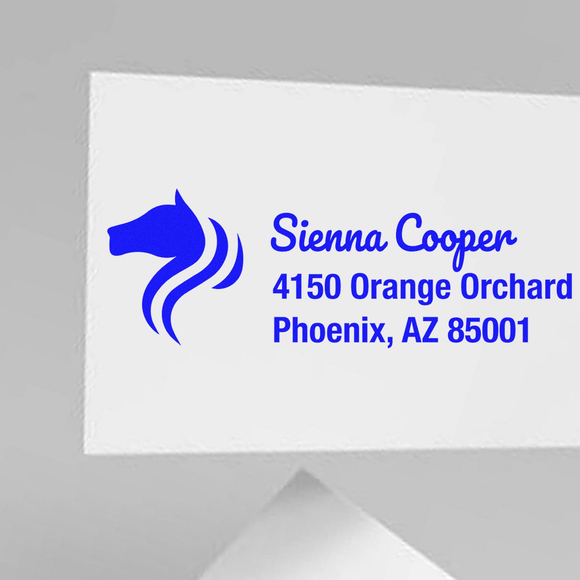 Blue custom business stamp and seal with horse logo, Siena Cooper name, and Phoenix, AZ address on white background.