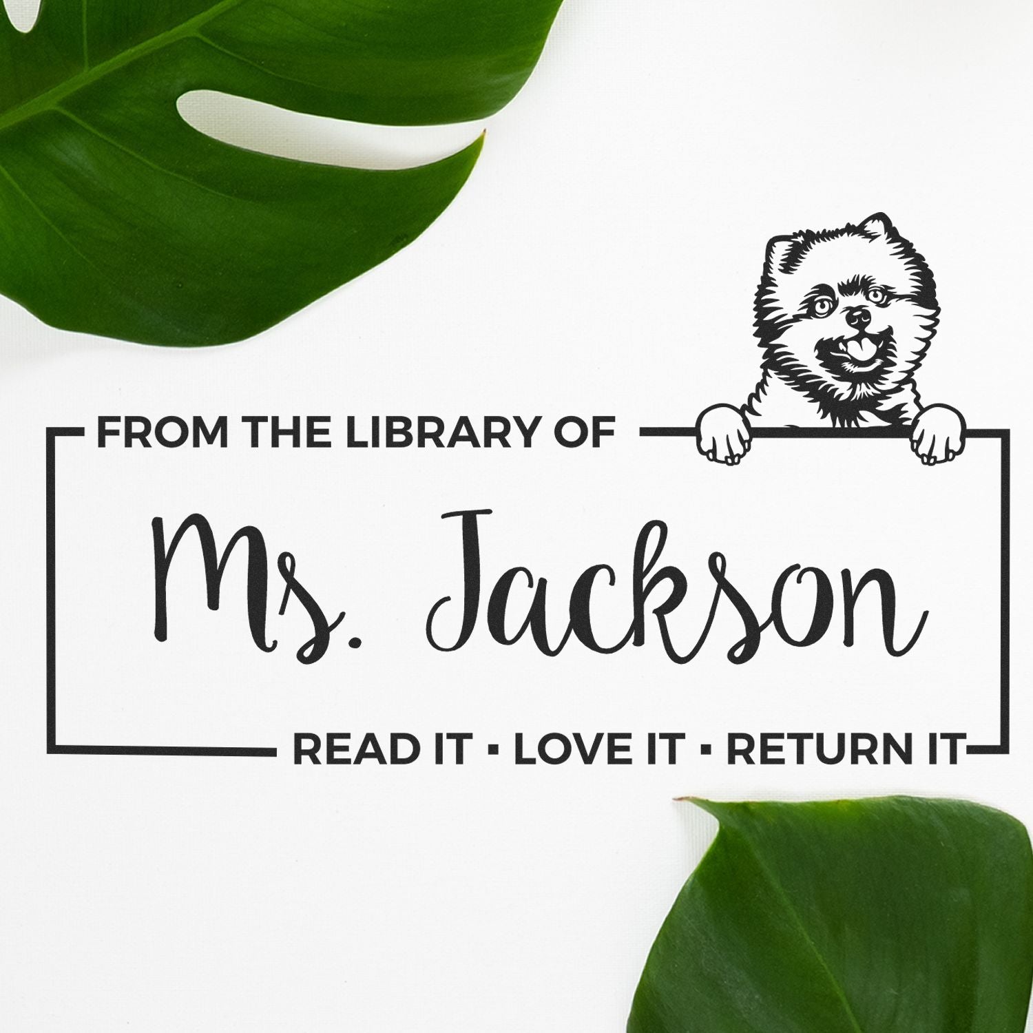 Custom Book Lover Stamper with Pomeranians - Engineer Seal Stamps