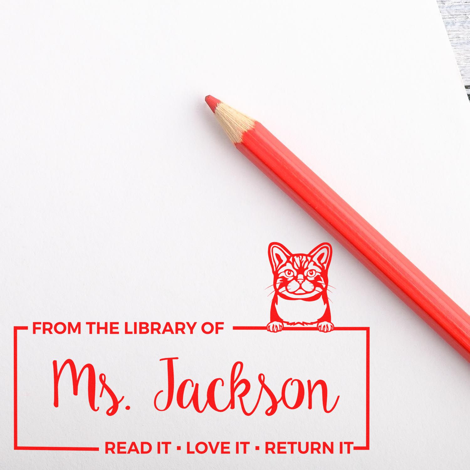 Custom For Shared Books Stamper with American Wirehair Cat - Engineer Seal Stamps