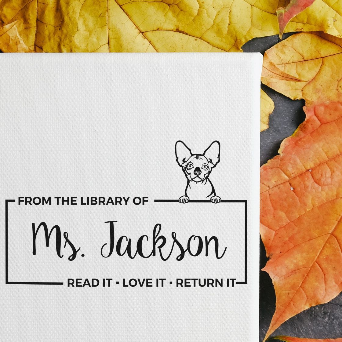 Customized Name For Teacher Stamp with Bambino Cat - Engineer Seal Stamps