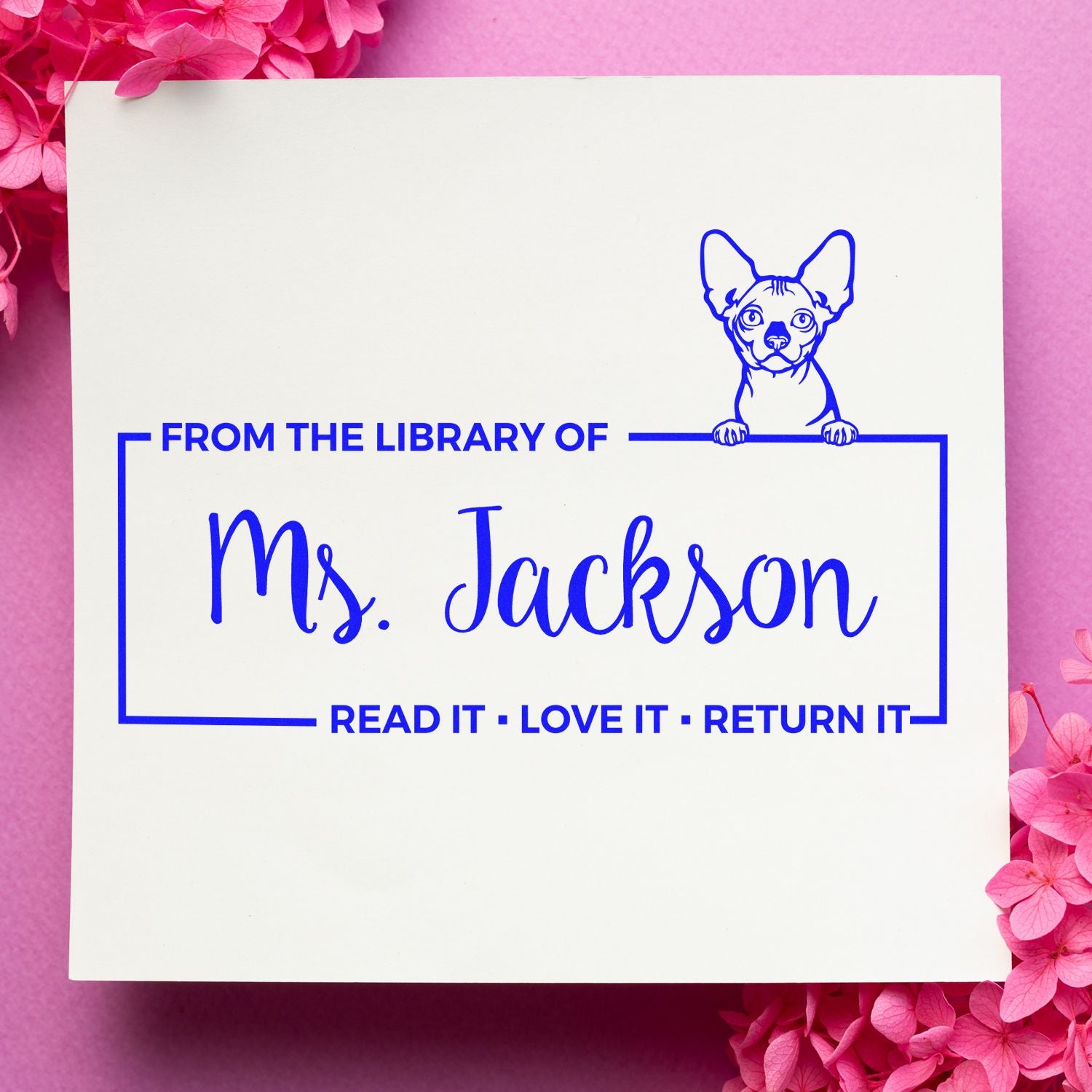 Bambino Personalized Cat-Themed Book Ownership Read It Return It? Stamp - Engineer Seal Stamps