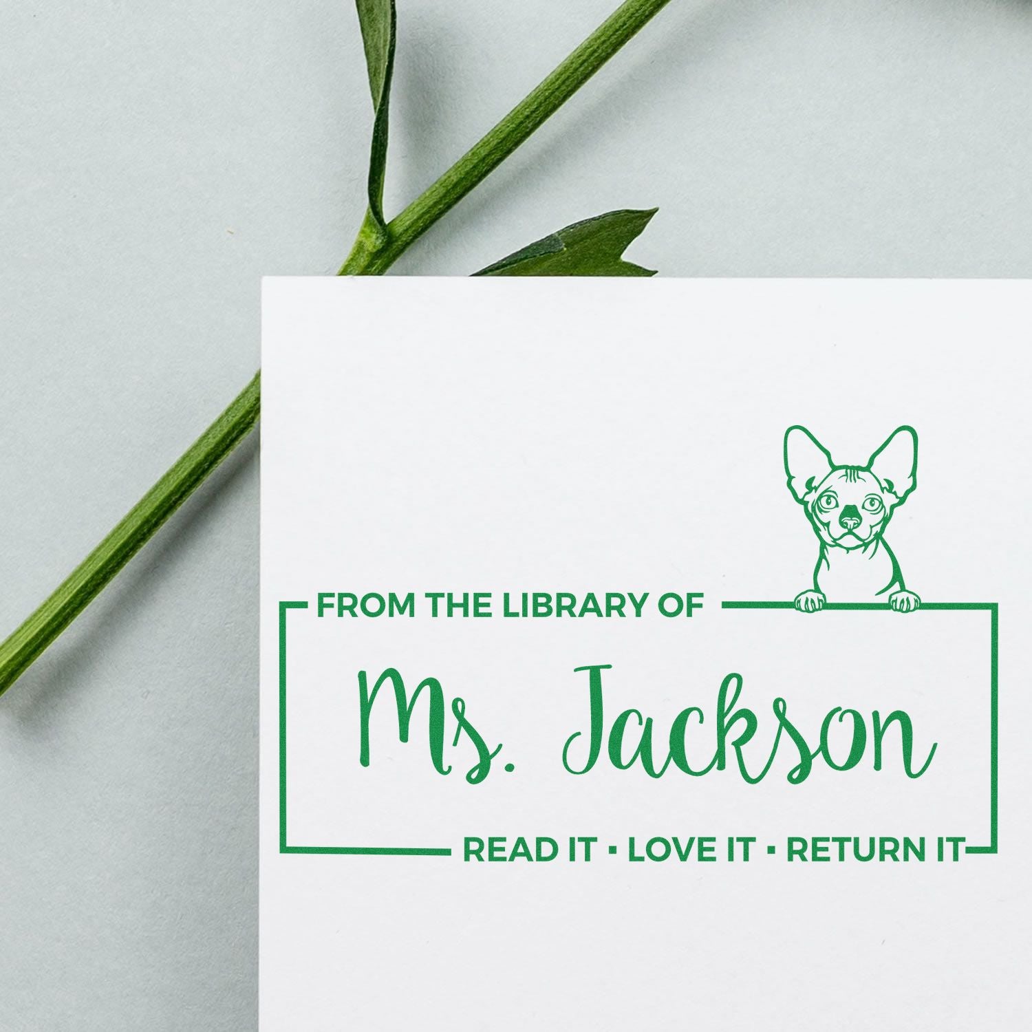 Bambino Personalized Cat-Themed Book Ownership Read It Return It? Stamp - Engineer Seal Stamps