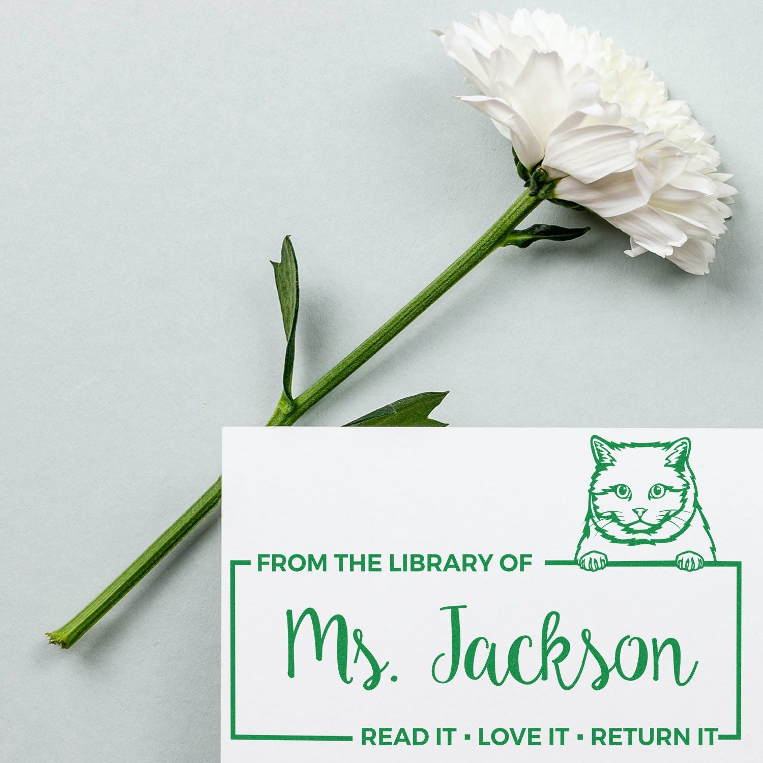 Customized Bookplate Stamper with British Shorthair Cat - Engineer Seal Stamps