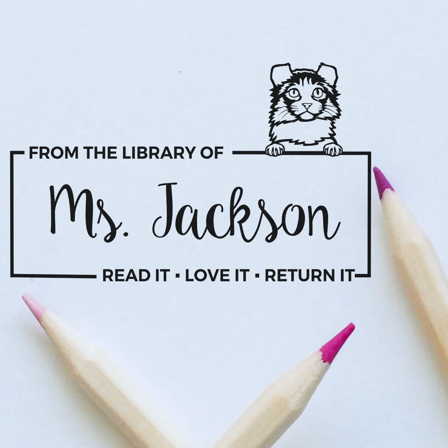 Customized Library Return Stamper with Kinkalow Cat - Engineer Seal Stamps