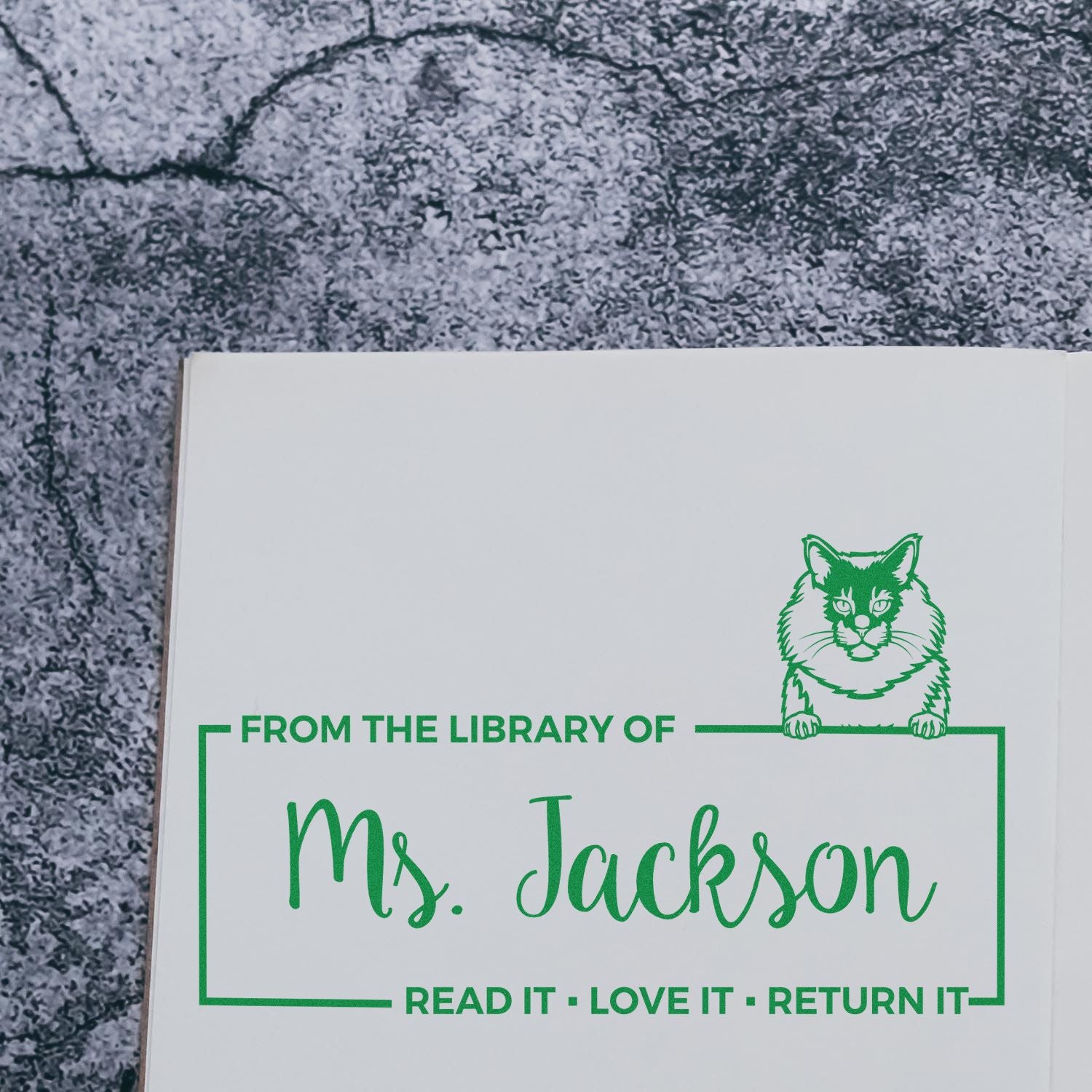 Customized Classroom Book Owner Stamper with Maine Coon Cat - Engineer Seal Stamps