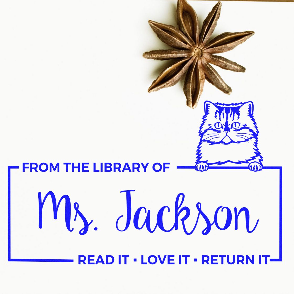 Blue library stamp and seal for Ms. Jackson with cat logo and star anise accent on a white background.