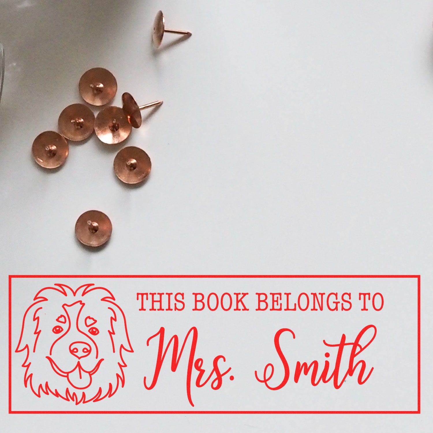 Wood Handle St Bernard Personalized Book Belongs Rubber Stamp