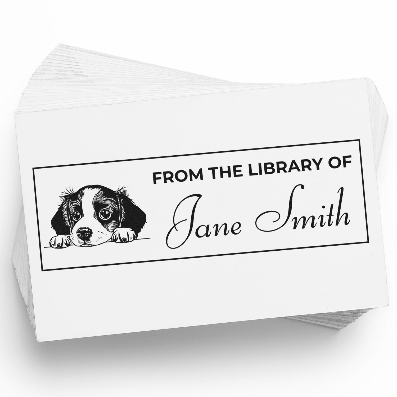 Self-Inking Brittany Kids Book Stamp With Name - Engineer Seal Stamps