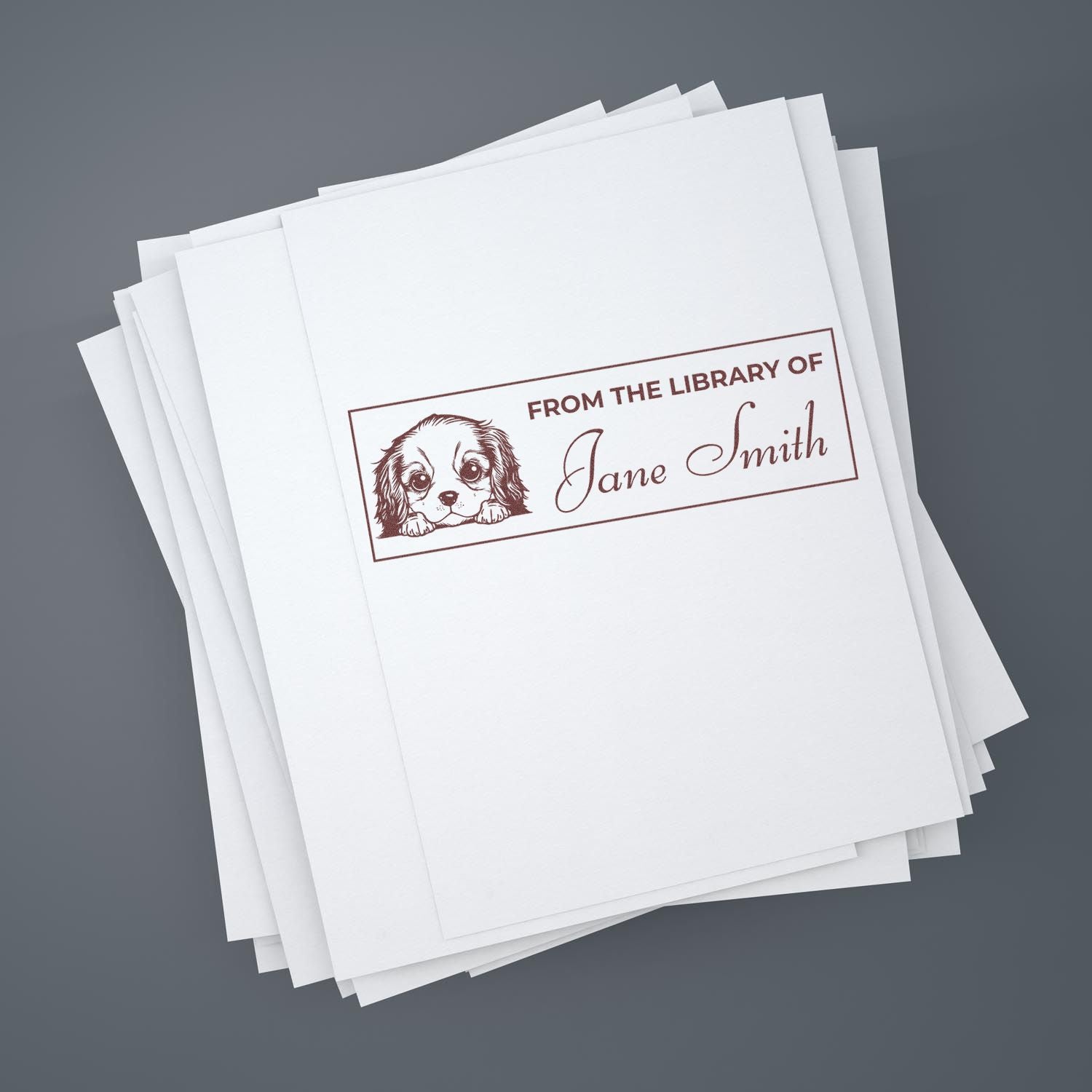 Slim Cavalier King Charles Spaniel Bibliophile Personalized Stamp - Engineer Seal Stamps