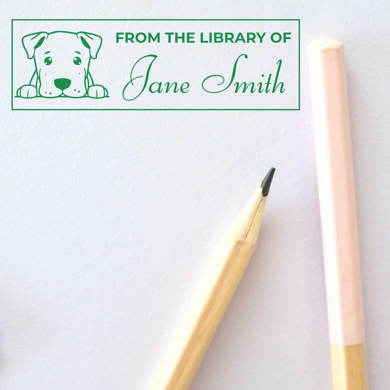 Pre-Inked Dogo Argentino Teacher Classroom Library Stamp - Engineer Seal Stamps