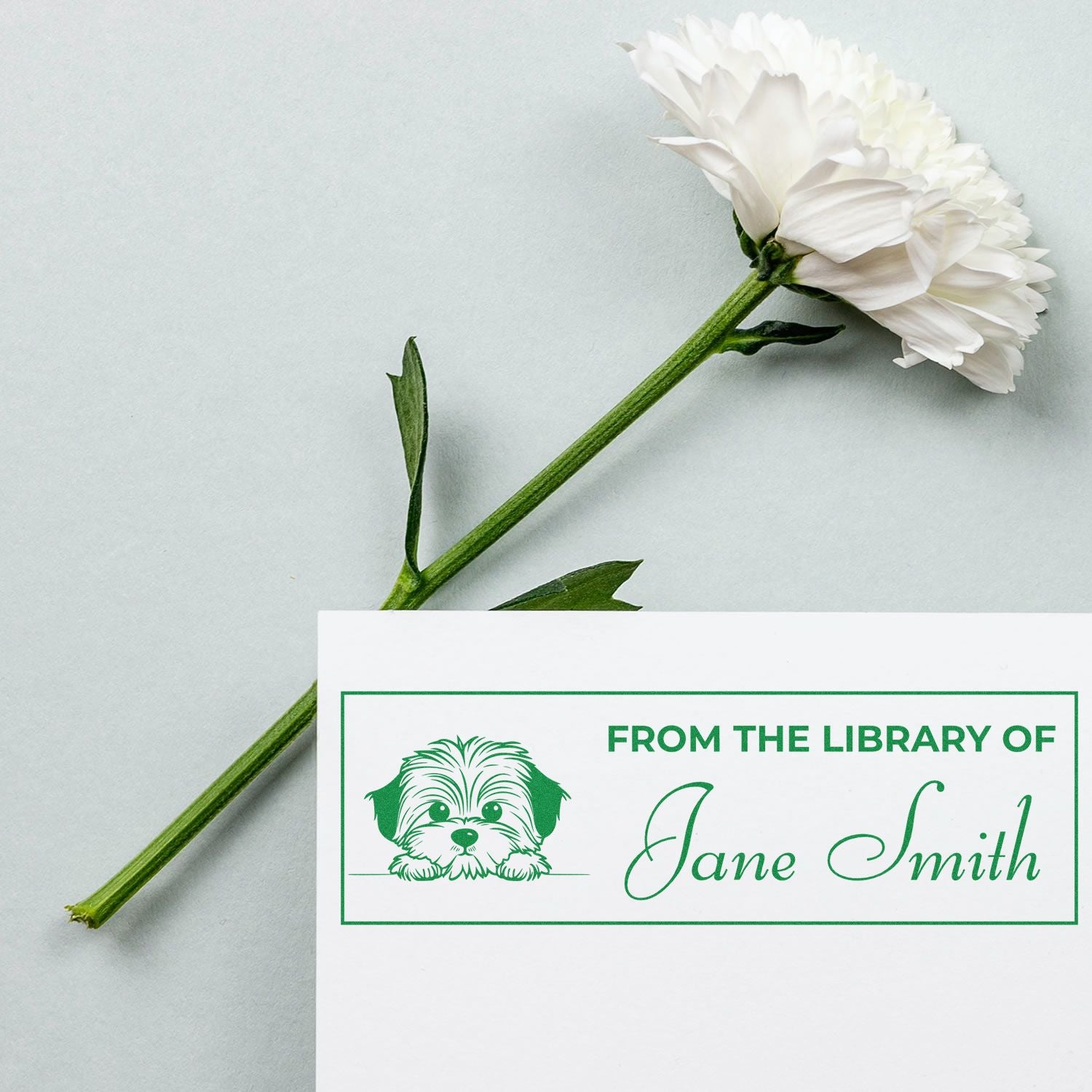 Havanese Self-Inking Custom Library Stamp For Teachers - Engineer Seal Stamps