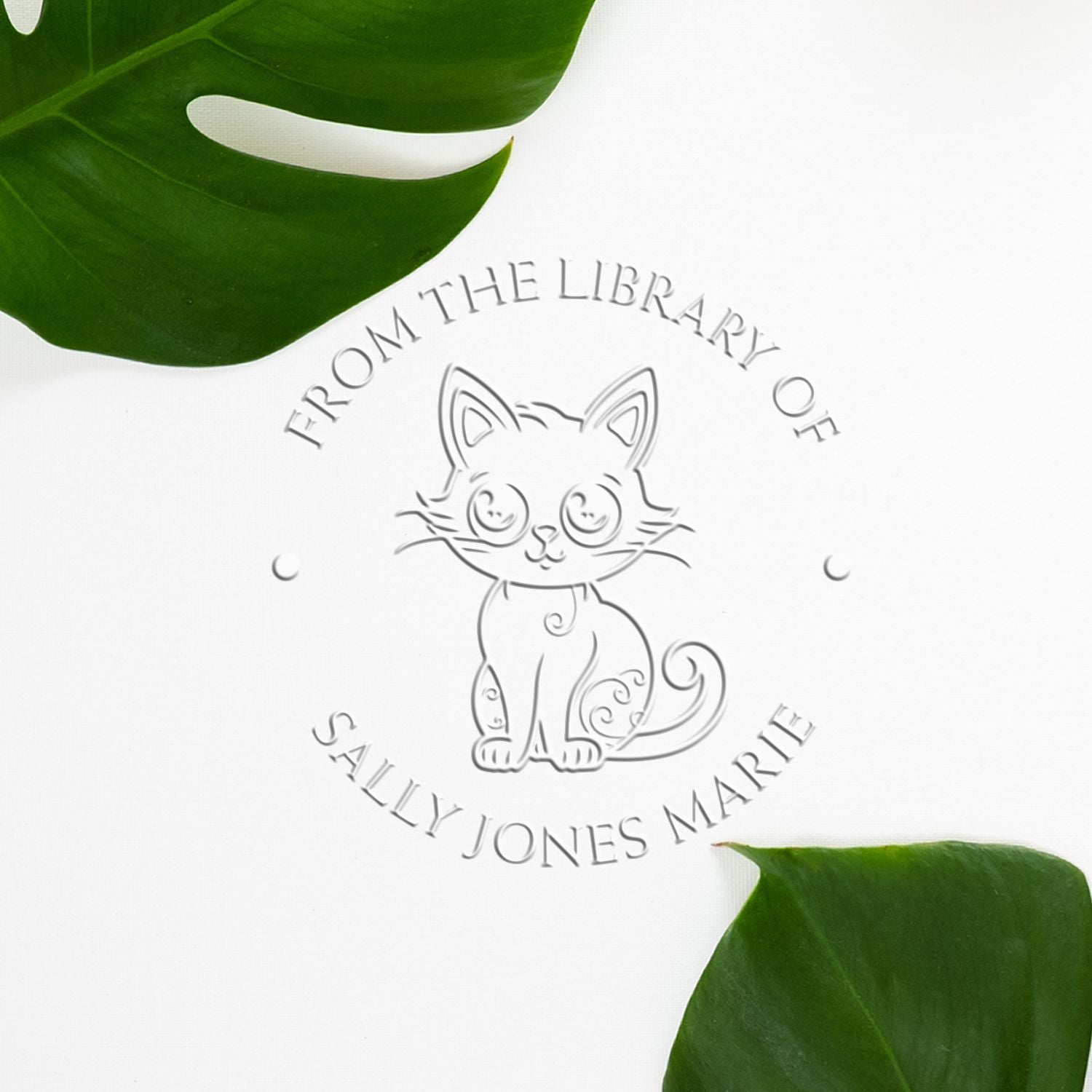 Soft Talkative Kitty Custom Book Library Embossing Seal