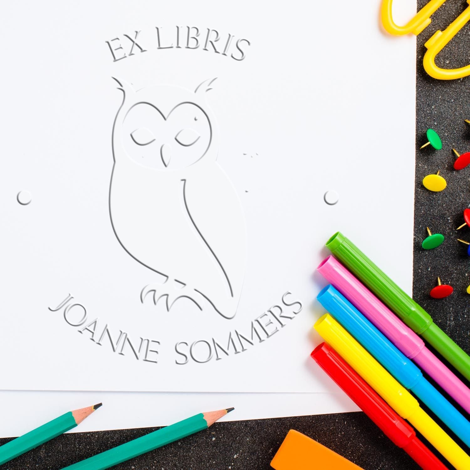 Soft Nocturnal Owl Customized Library Embossing Seal