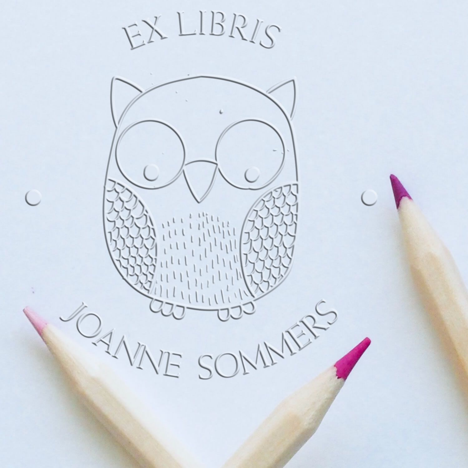Soft Intelligent Owl Personalized Book Ownership Label Seal Press