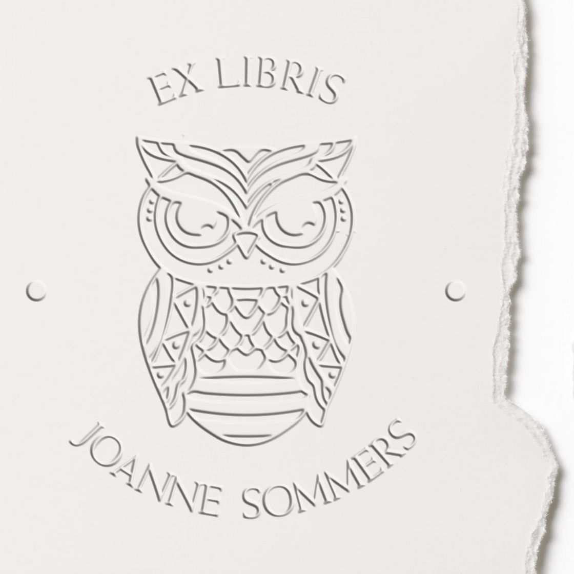 Desk Majestic Owl Personalized Read It Embossing Stamp - Engineer Seal Stamps