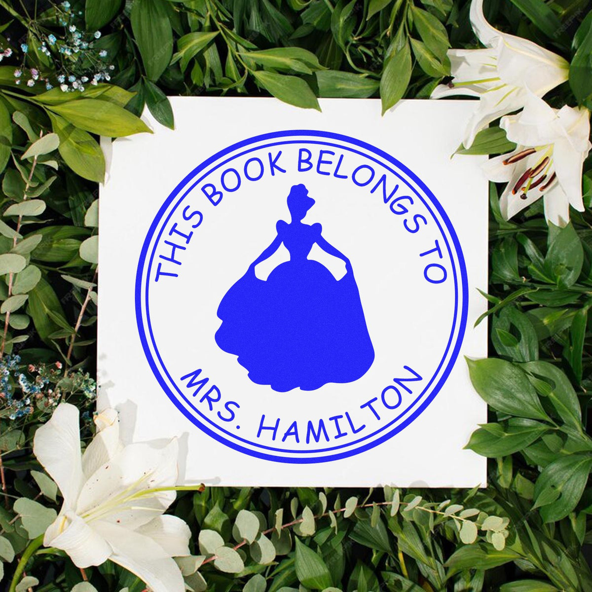 Blue custom book stamp seal with princess silhouette and This Book Belongs to Mrs. Hamilton on white card, framed by green leaves.