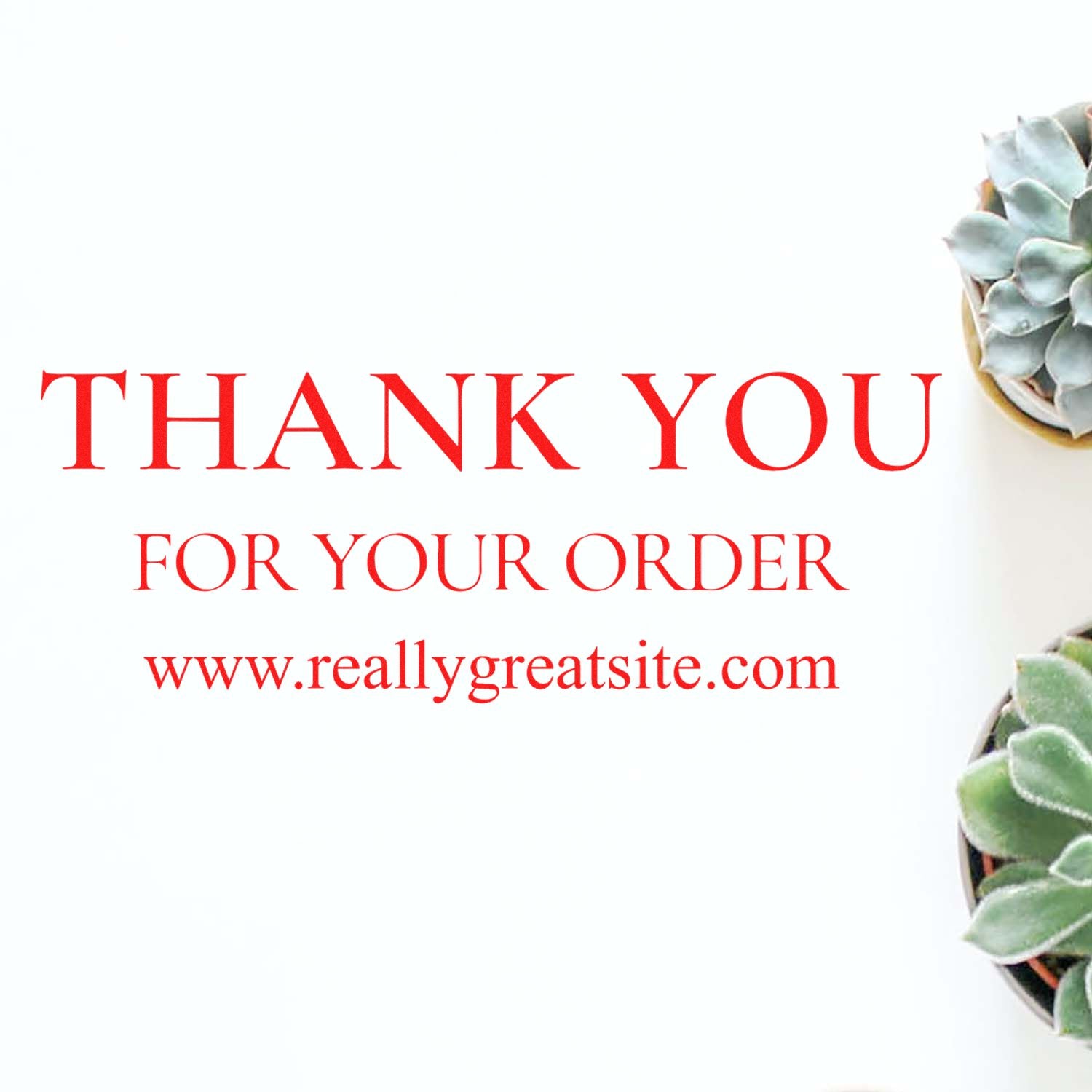 Red custom thank-you order stamp and seal on white, with website text and succulents at right.