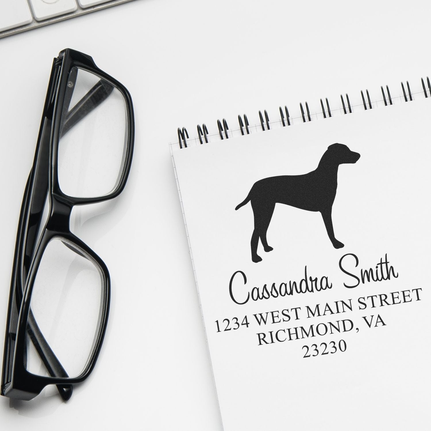 Slim Pre-Inked Dalmatian Personalizable Mailing Address Stamper - Engineer Seal Stamps