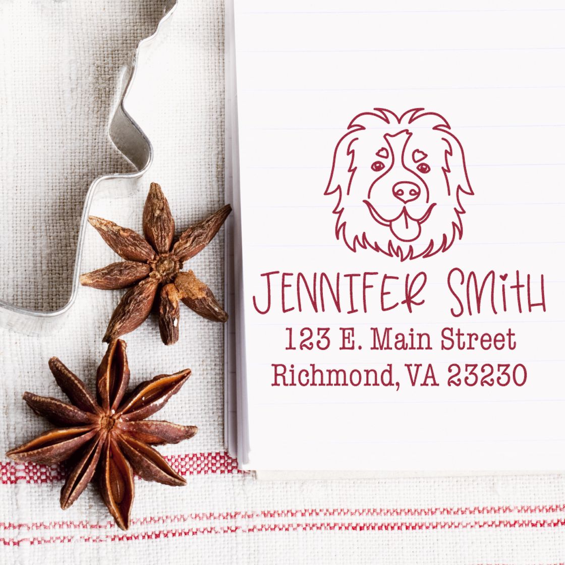 PSI Pre-Inked St Bernard Handcrafted Return Address Stamp for Envelopes - Engineer Seal Stamps