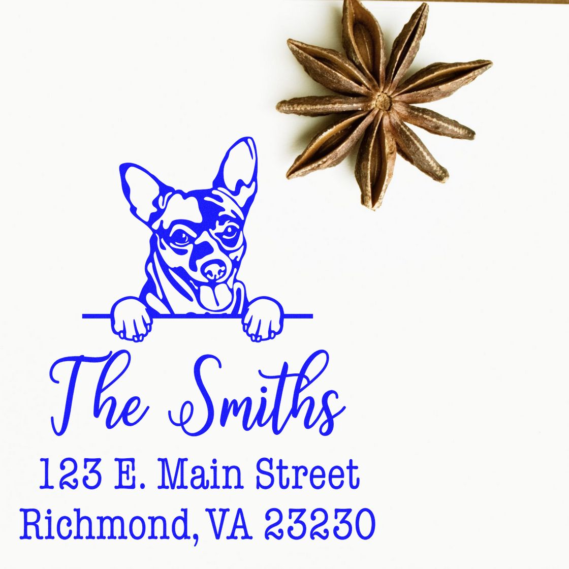 Blue custom dog-address stamp for The Smiths, Richmond VA, with brown star anise wax seal stamp.