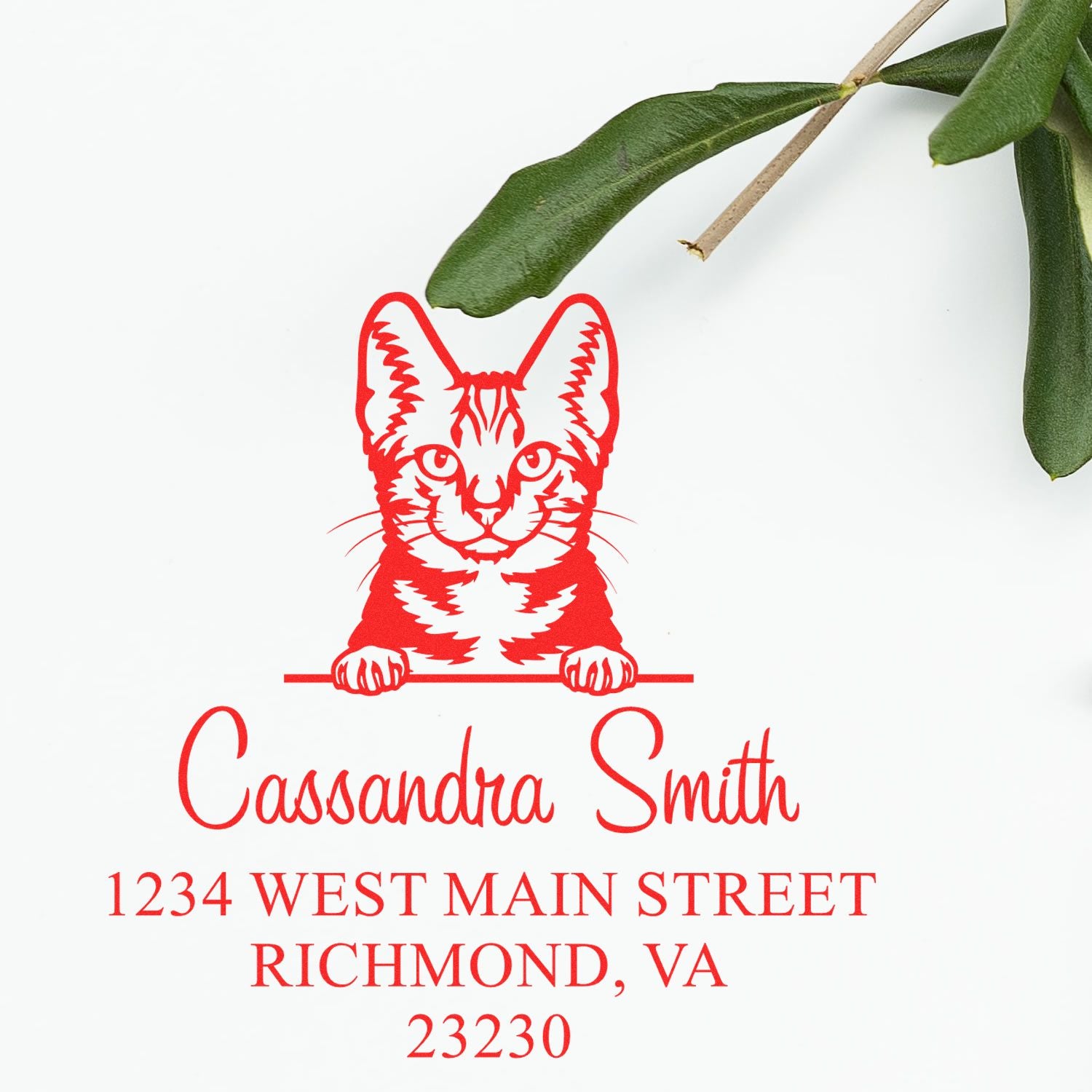 Custom red cat stamp seal with Cassandra Smith name and Richmond, VA address on white background.