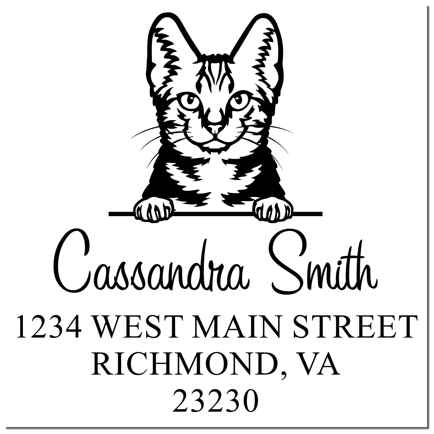 Black custom stamp seal featuring a cat illustration, Cassandra Smith name, and Richmond, VA address.